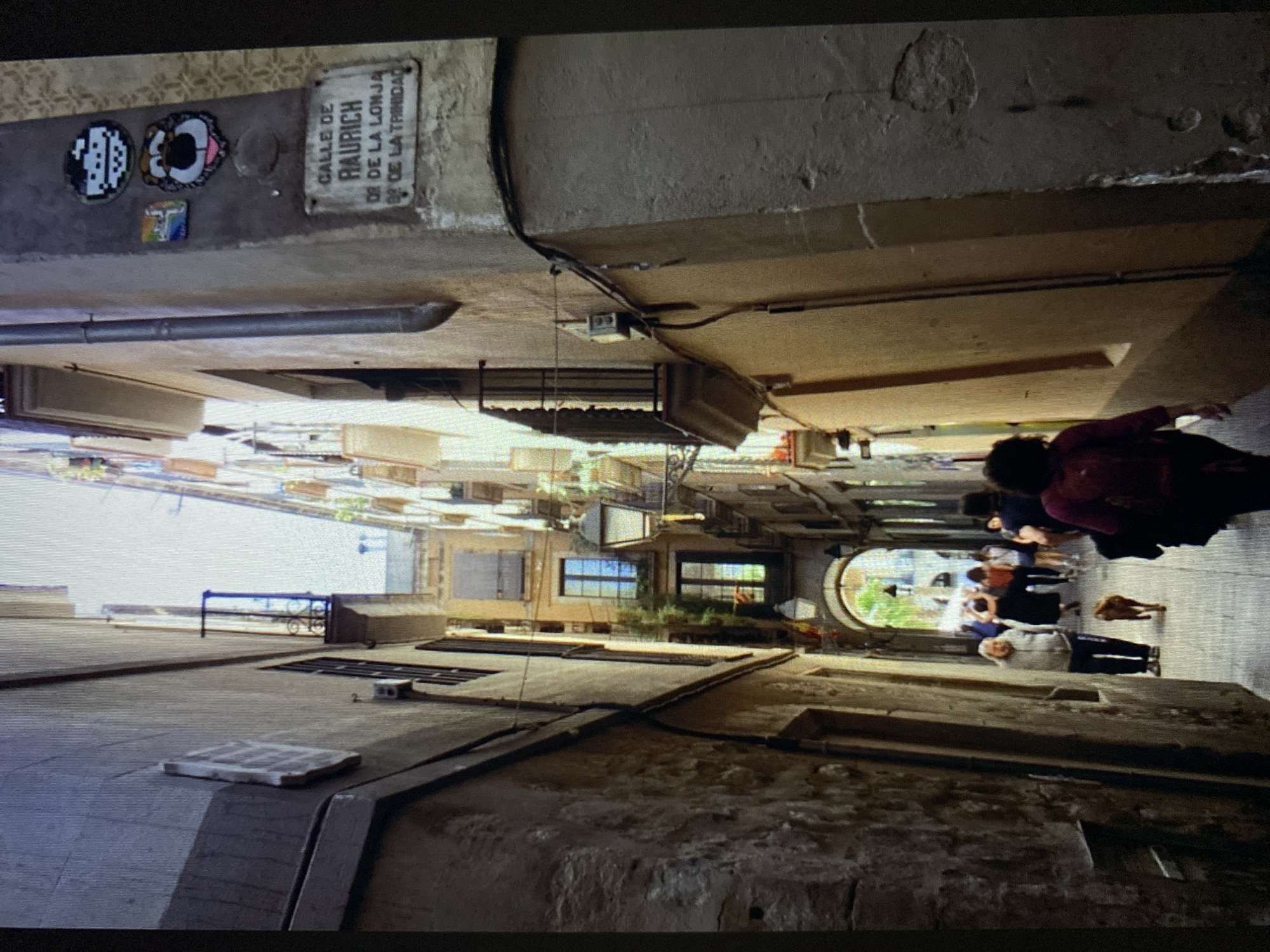 Eclectic afternoon snapshot: streets, nature, food, and urban details