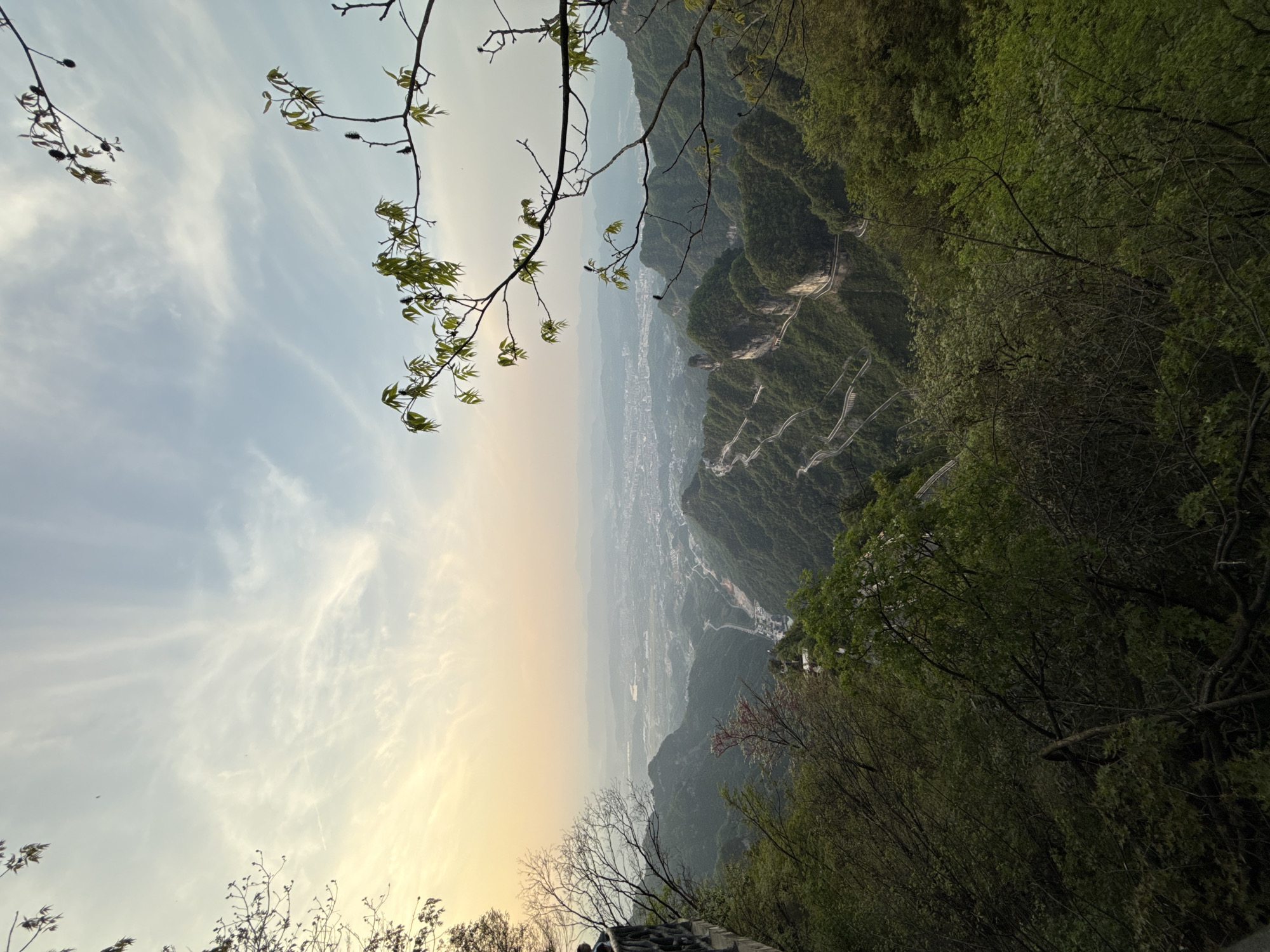 Spring foliage frames mountain vista at Tianmen Mountain, Zhangjiajie