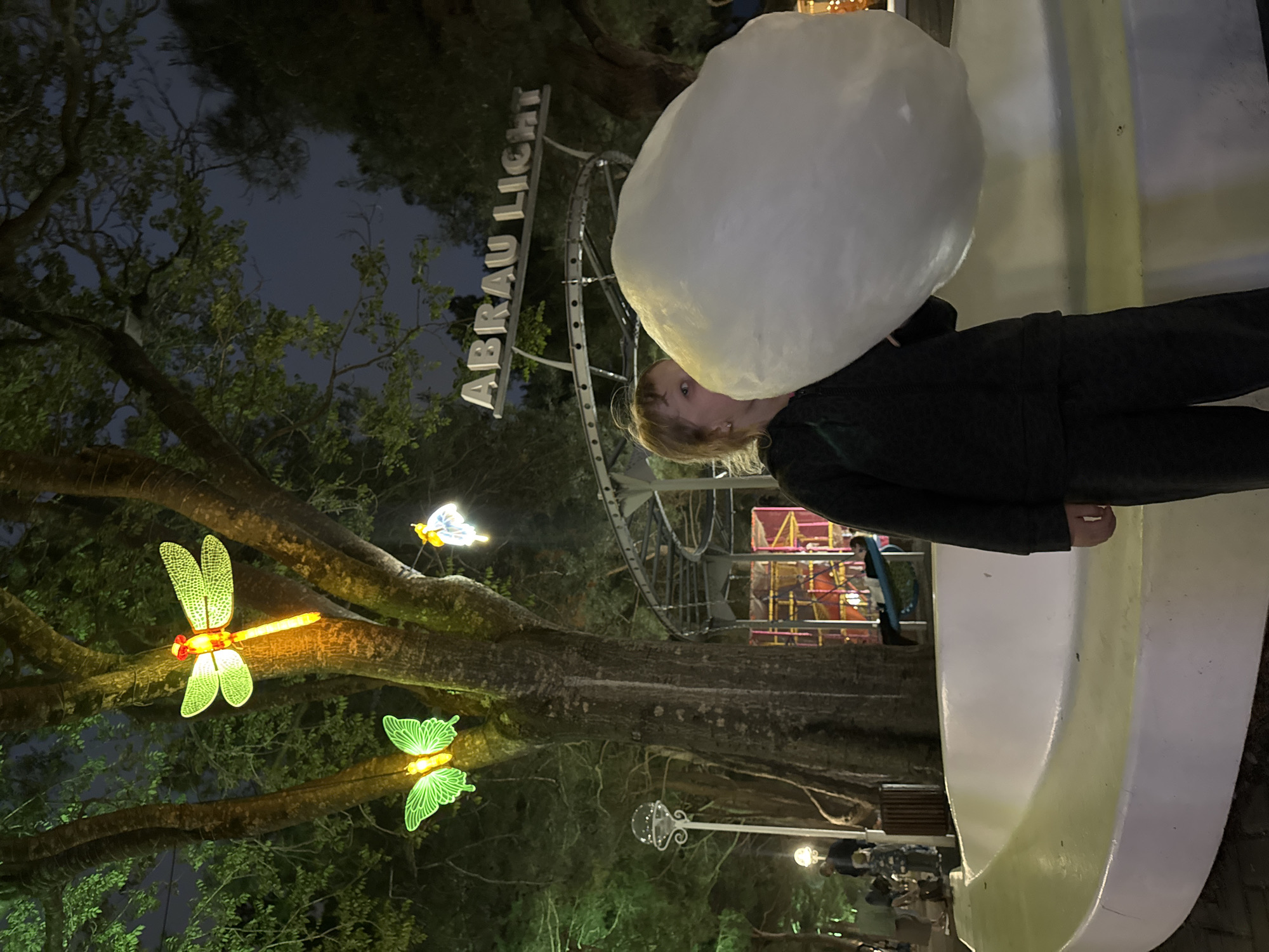Holiday Light Festival Draws Families to Gelendzhik Resort