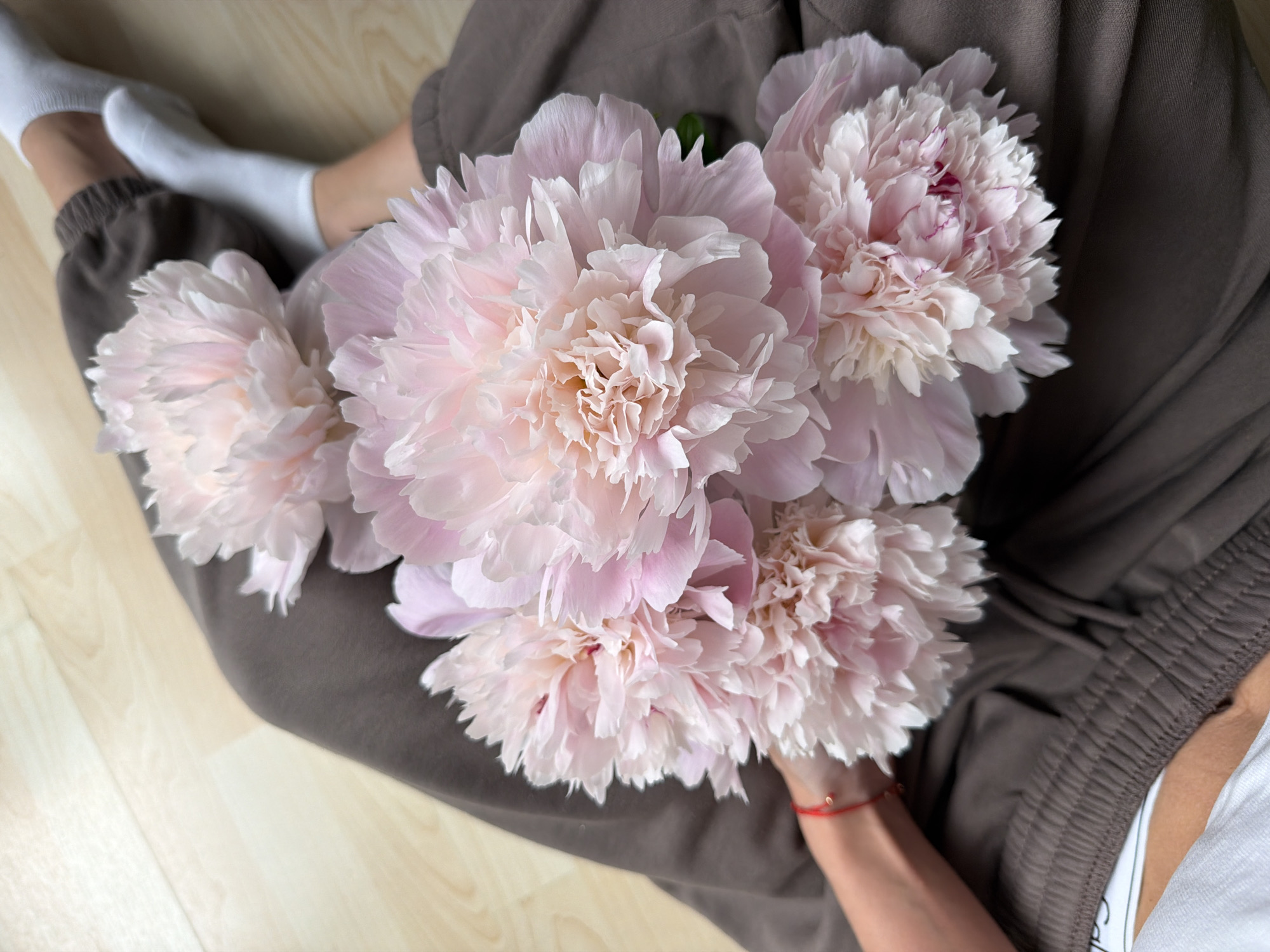 Person enjoys flowers, coastal views, cafe dining in Ireland