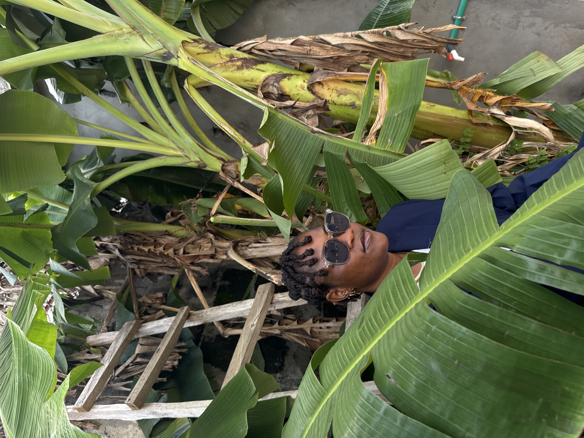 Woman in navy suit poses at banana plantation in Ajara