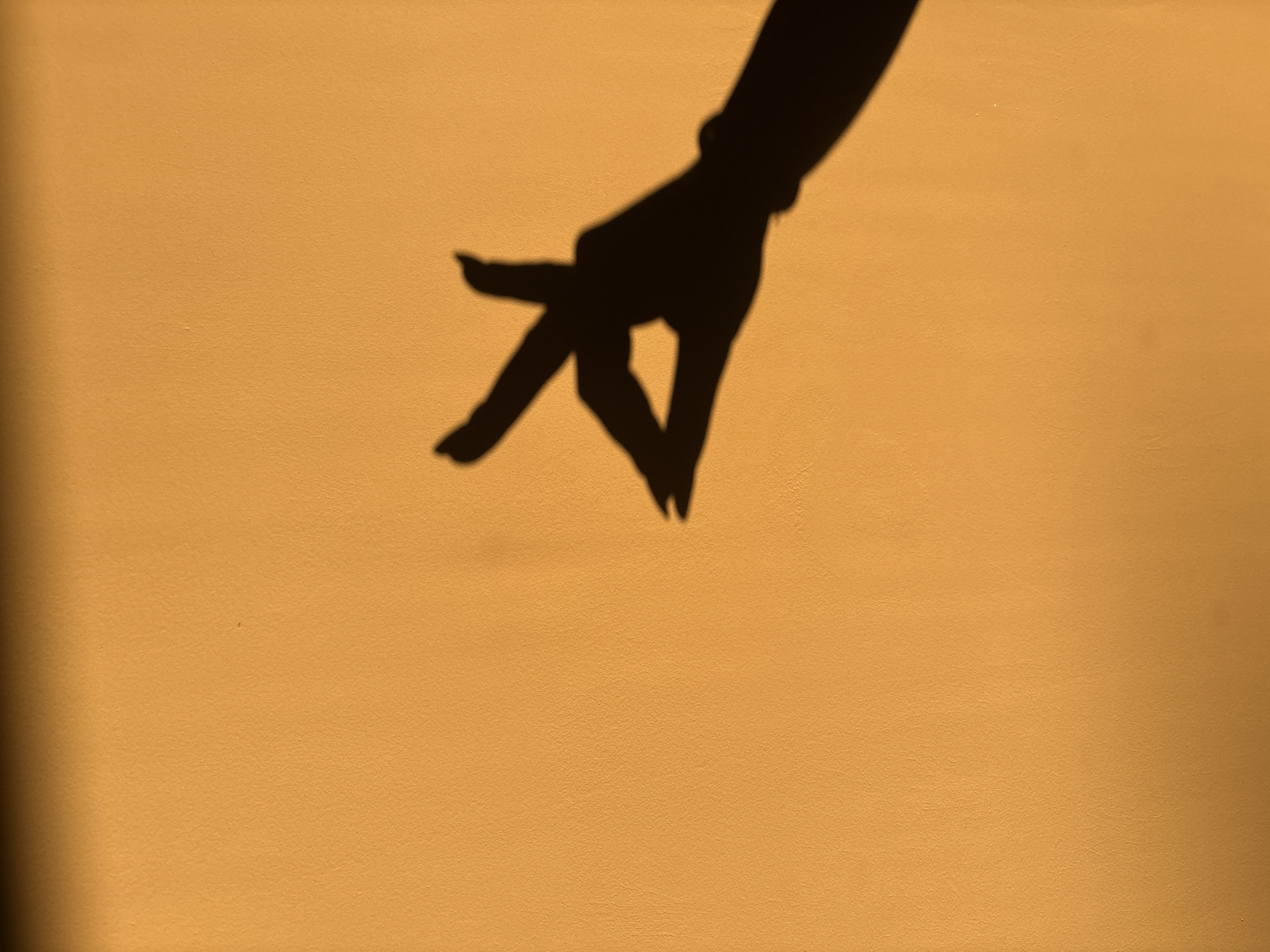 Dawn shadows and gestures documented in Maglizh, Bulgaria