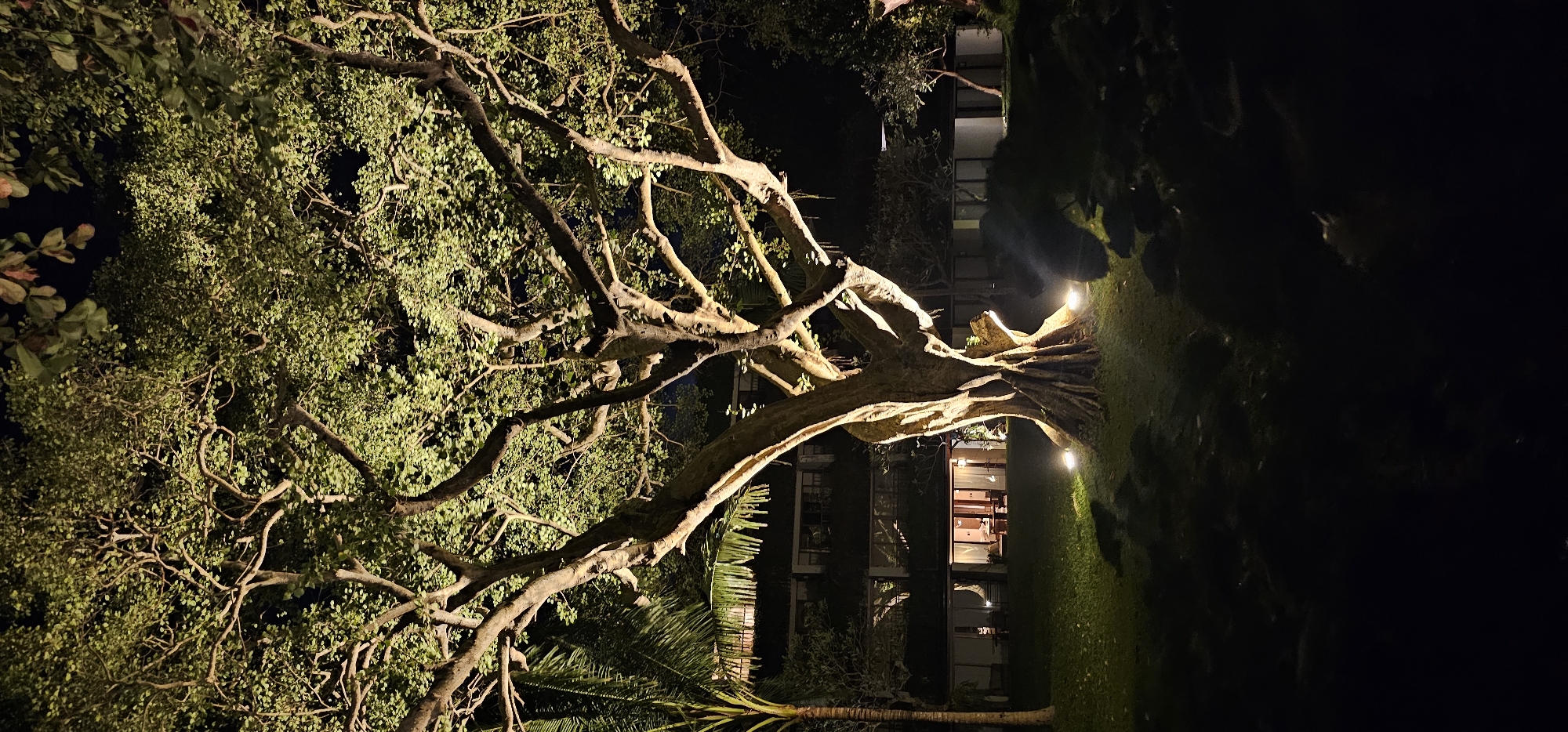 Nighttime beachfront scenes documented across Denpasar resort area