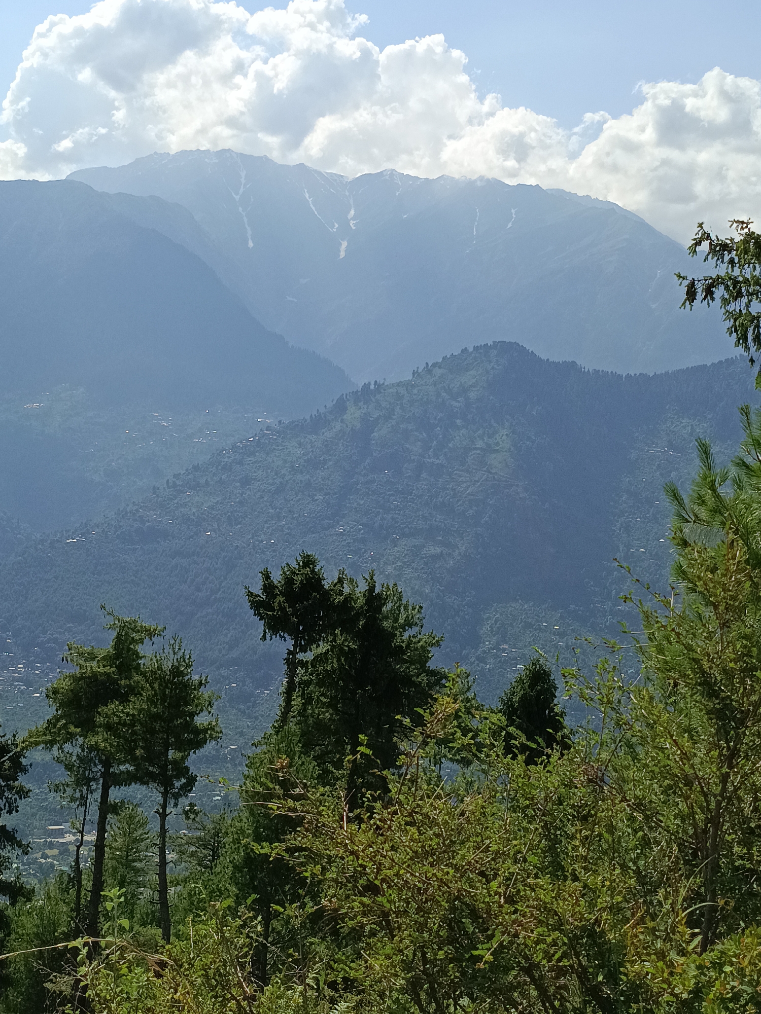 Forested hillsides and cut timber in Damadi's mountain landscape