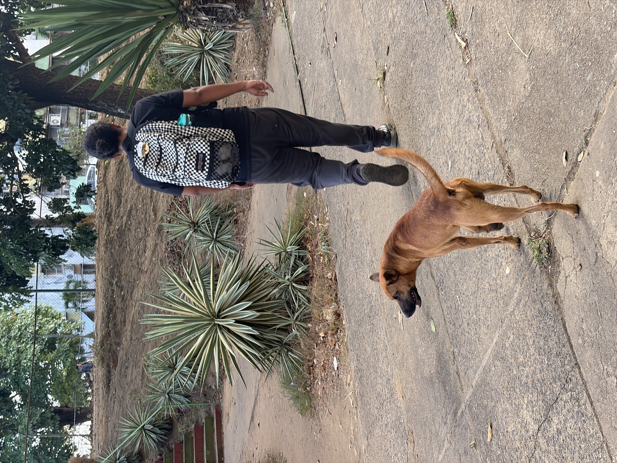 Evening documentation of daily life in Ciudad Guayana, Venezuela