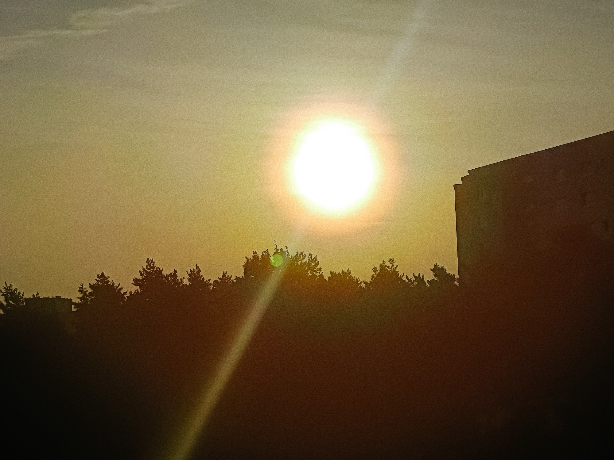 Hazy summer sunset over Berlin rooftops and treelines