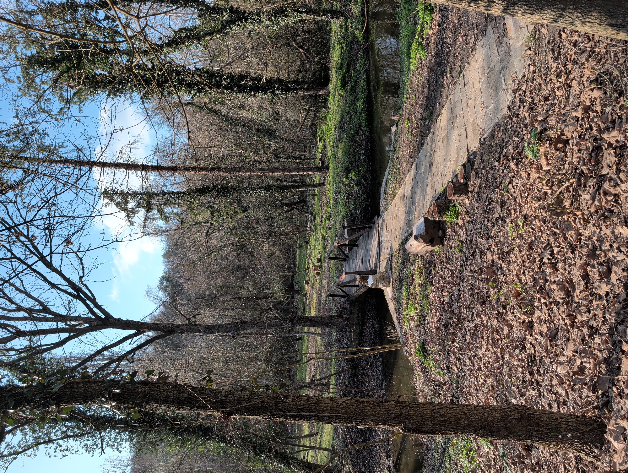 Peaceful wooded stream with bridge documented in Pleven
