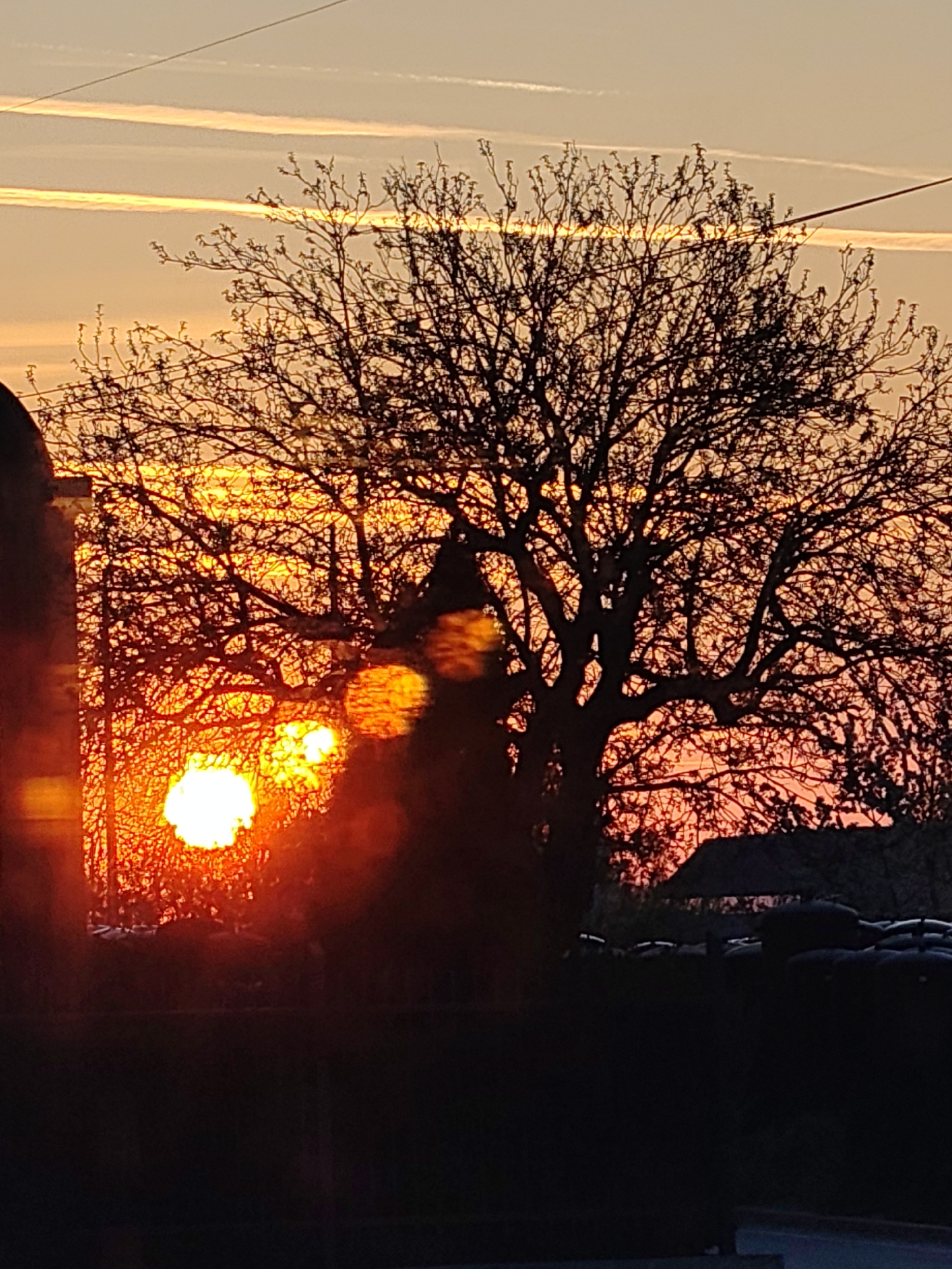Dramatic sunrise observed over Shumen, Bulgaria with silhouetted tree