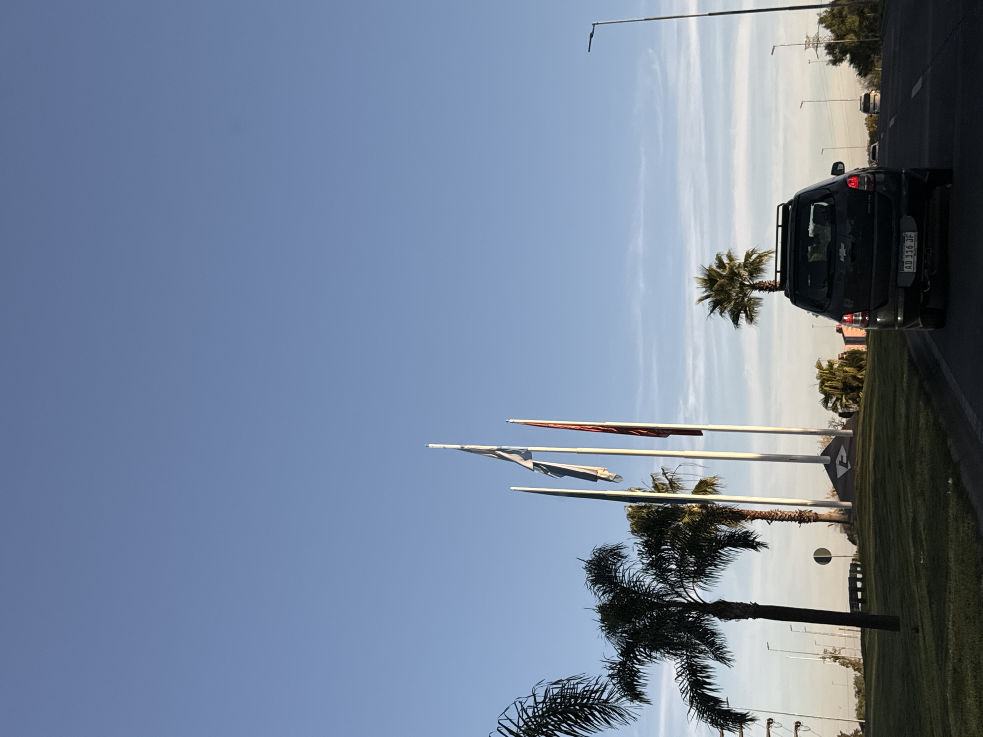 Driver captures roadside flags and palm trees in Tigre