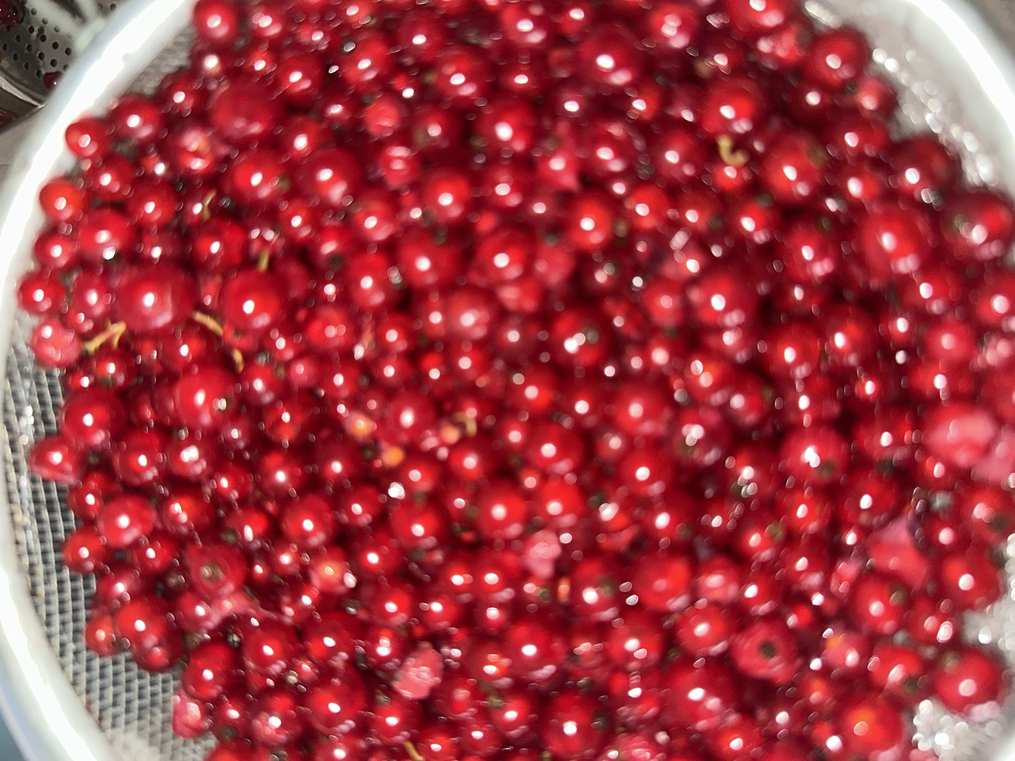 Homemade berry jam in progress, birds nearby