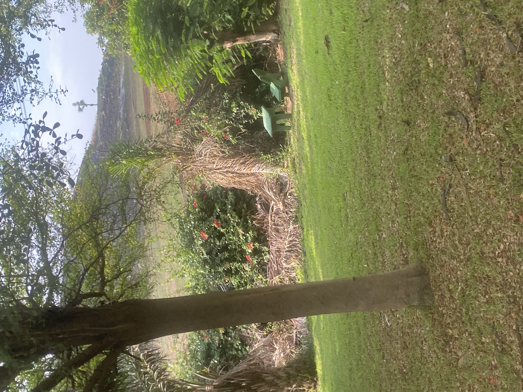 Morning neighborhood scenes documented in Angwan Sayawa, Nigeria