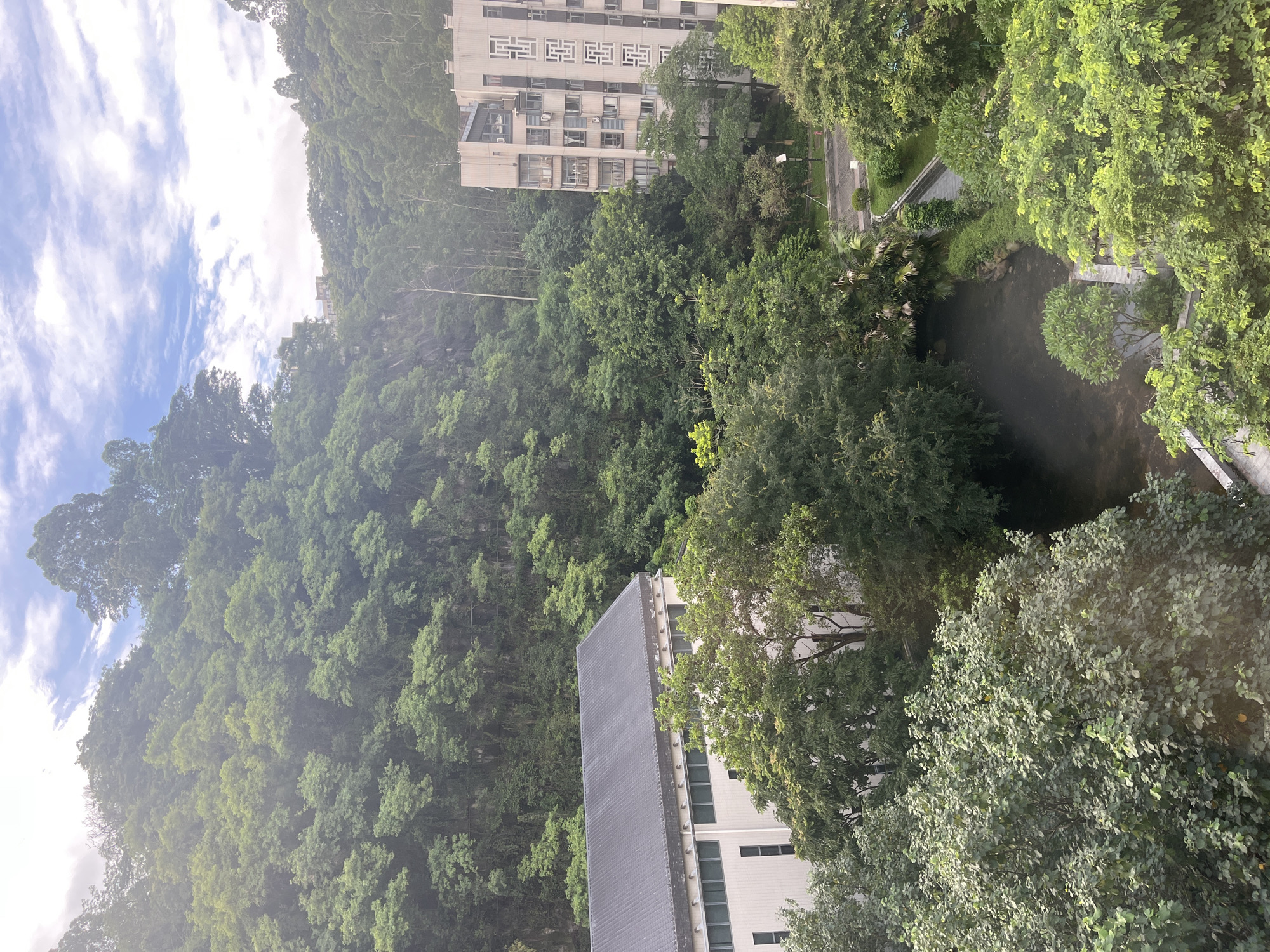 Green spaces, urban trees, and an embroidered kufi hat