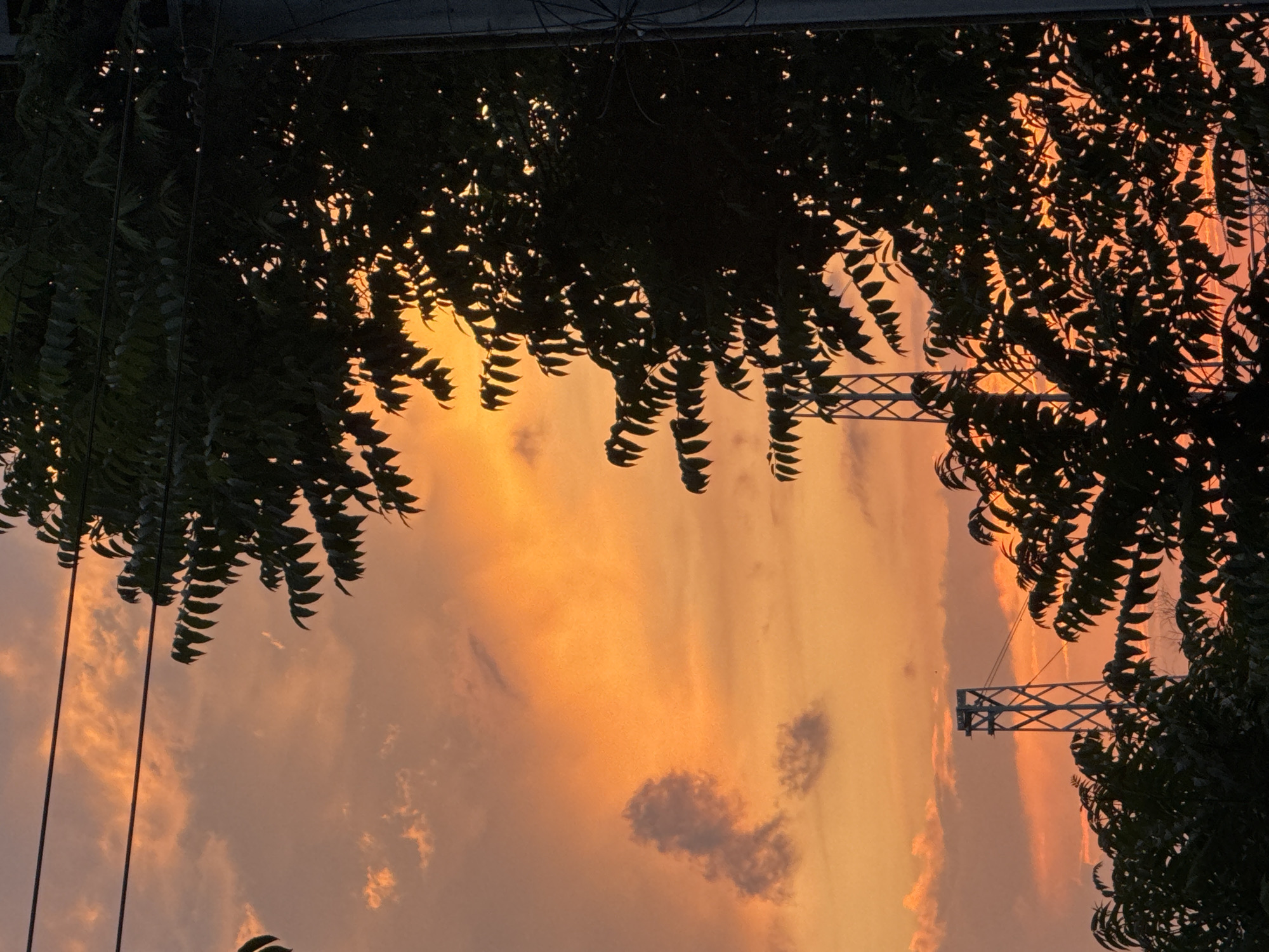 Everyday street life documented across Burgas neighborhoods during evening hours