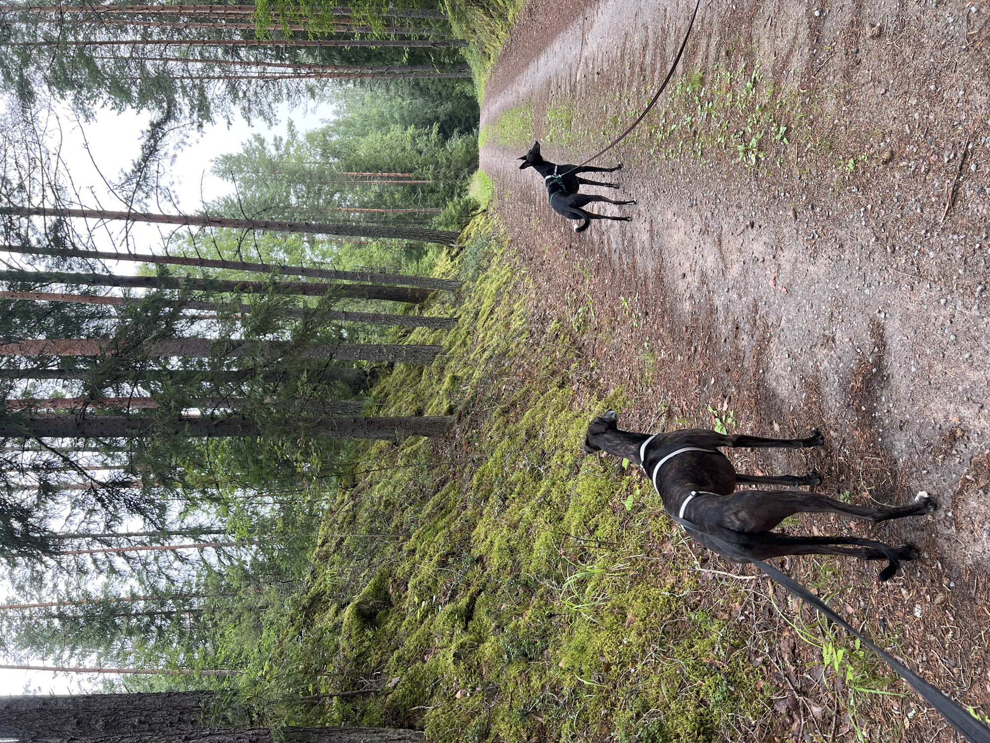 Hämeenlinna, Finland