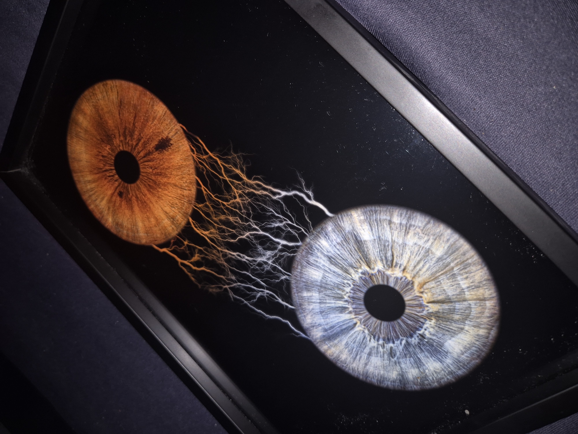 Witness captures magnified iris artwork display