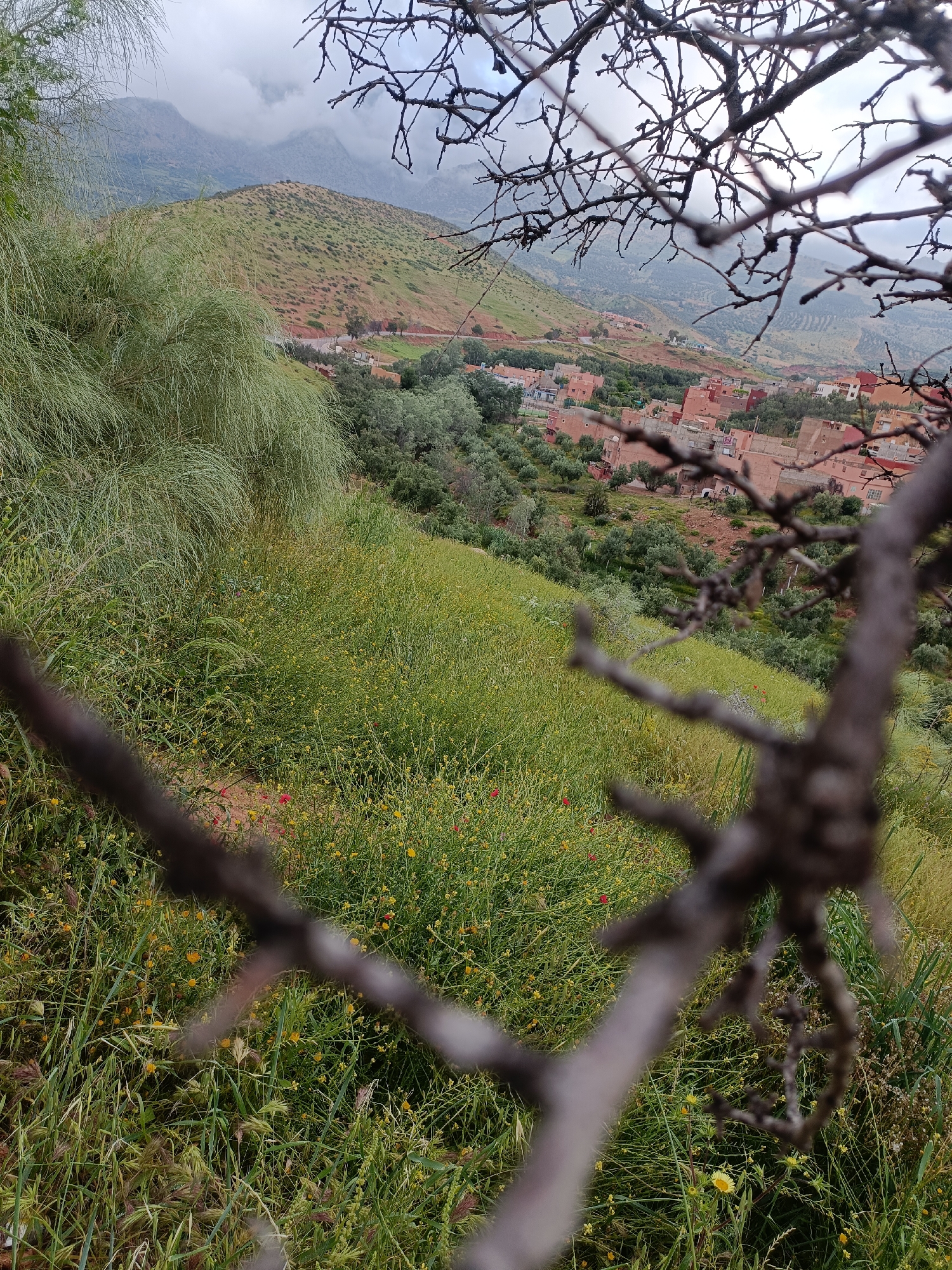 Morning journey through rural Morocco countryside documented by traveler