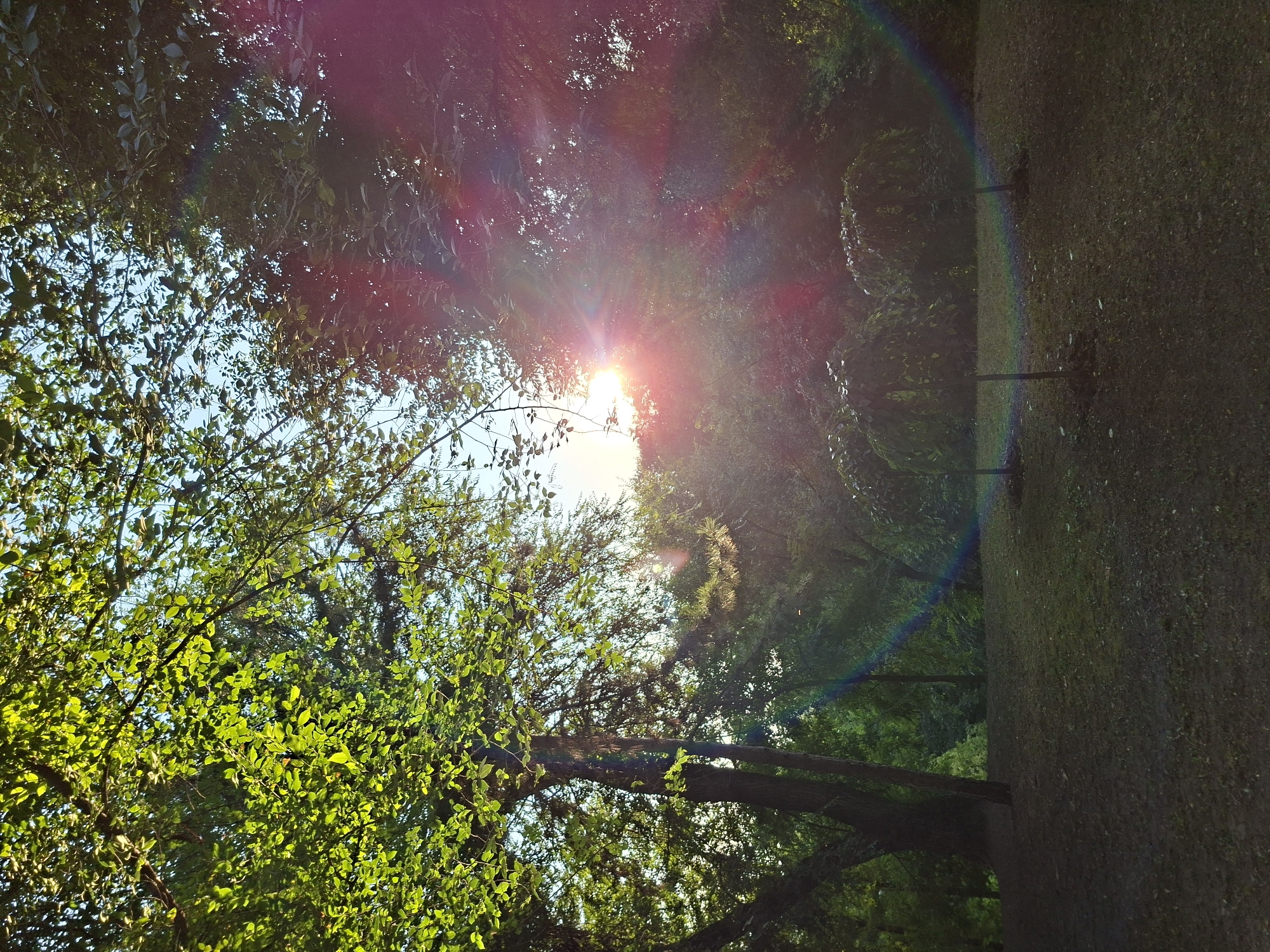 A summer afternoon at Chișinău's Valea Morilor Park
