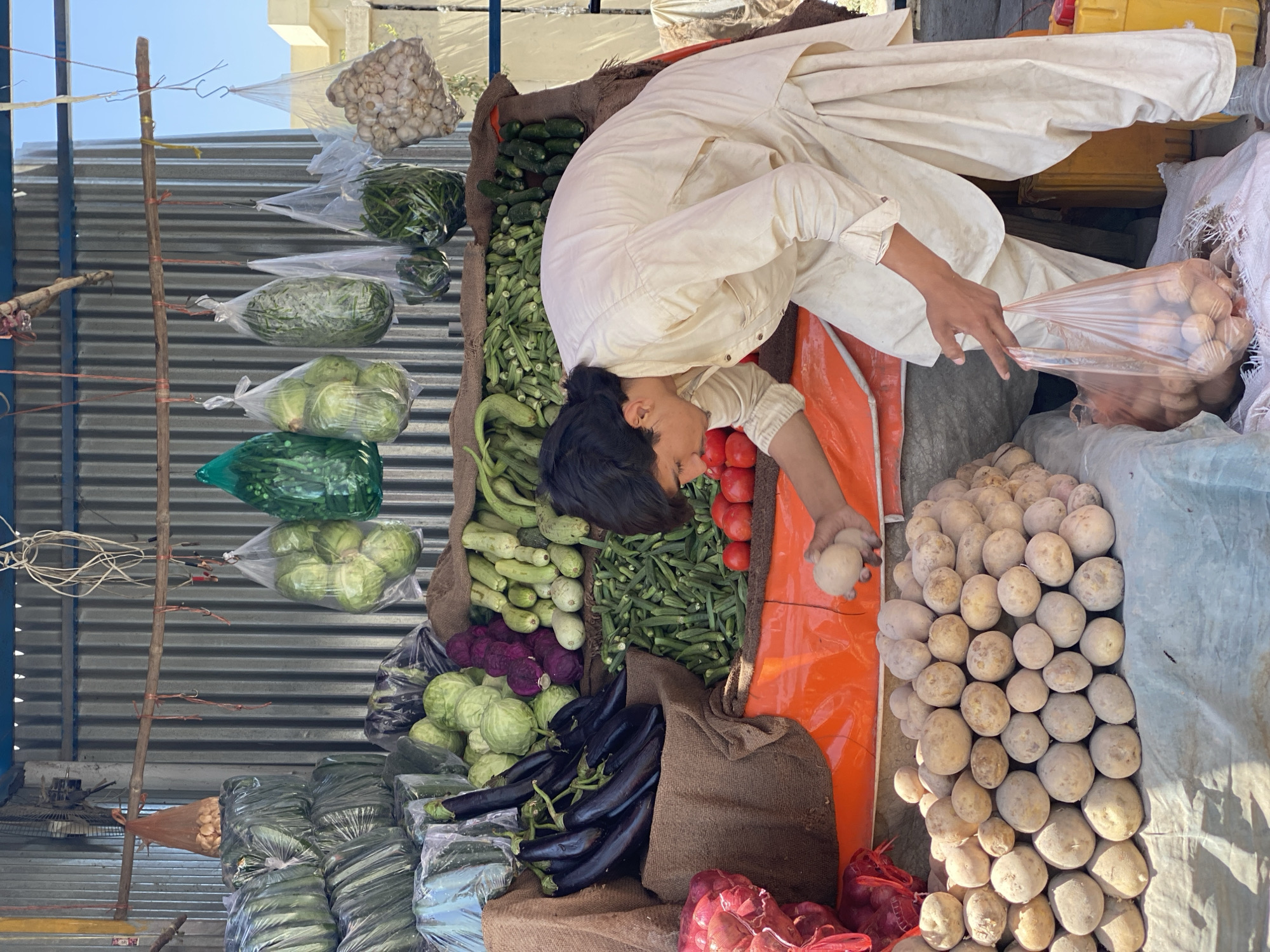 Picking out potatoes at a Kandahar market stall