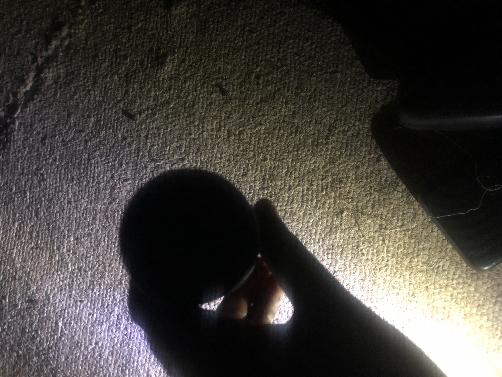 Personal electronics and household items documented on carpet in Jalingo