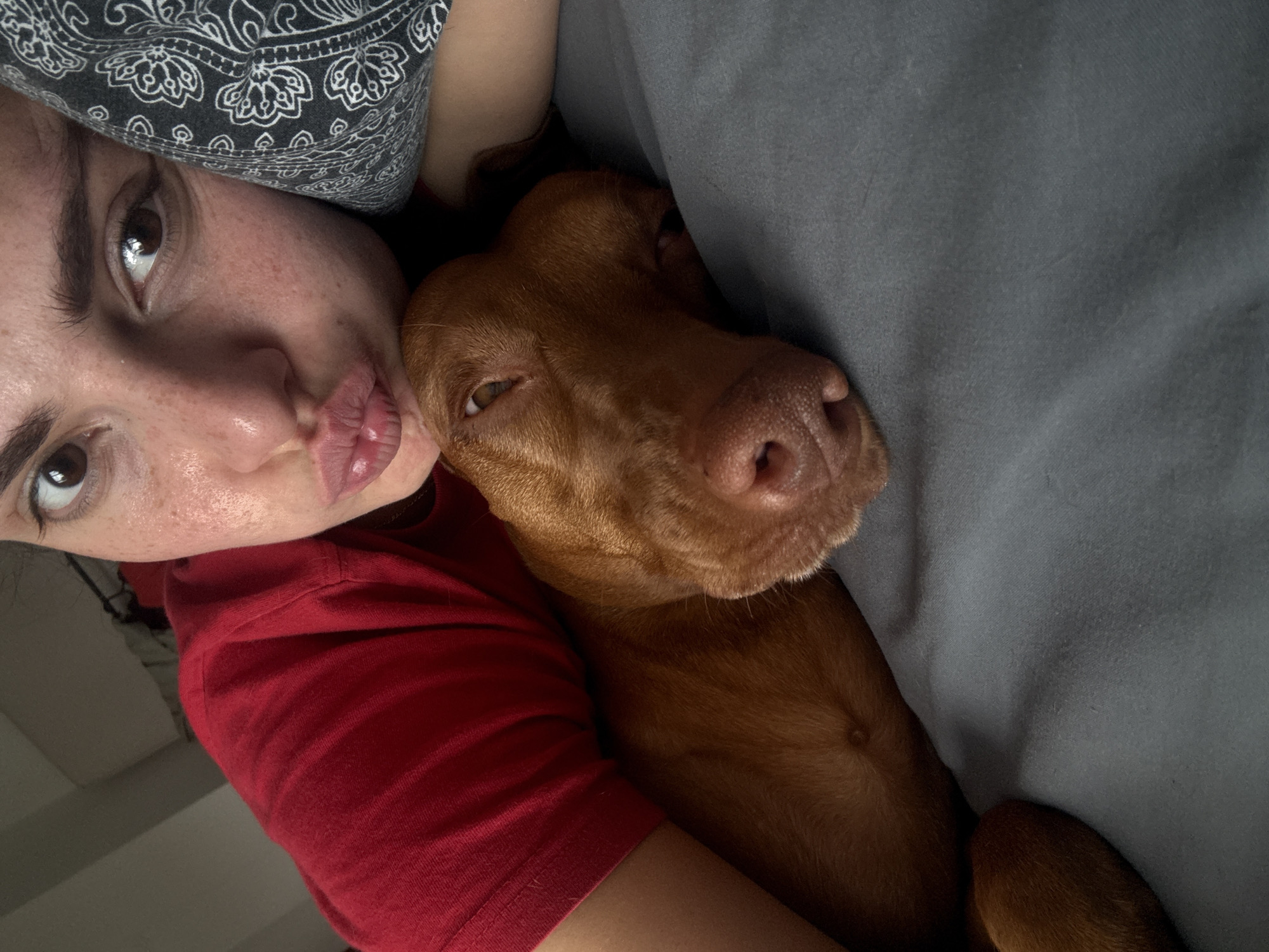 Early morning domestic moments captured across Sofia residence