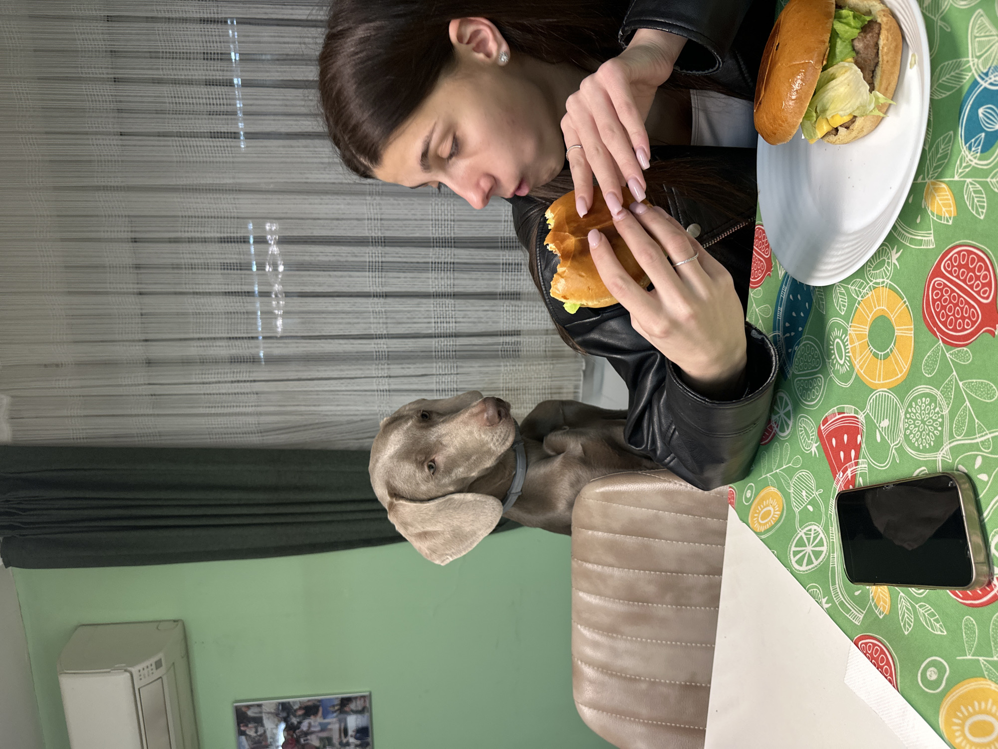 Woman shares hamburger moment with dog in Plovdiv restaurant