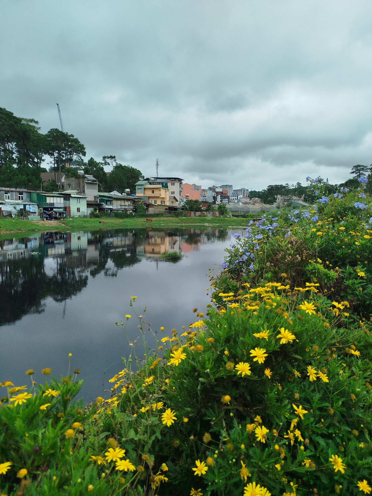 Morning in Da Lat: lakeside scenes, colonial villas, and banner setup