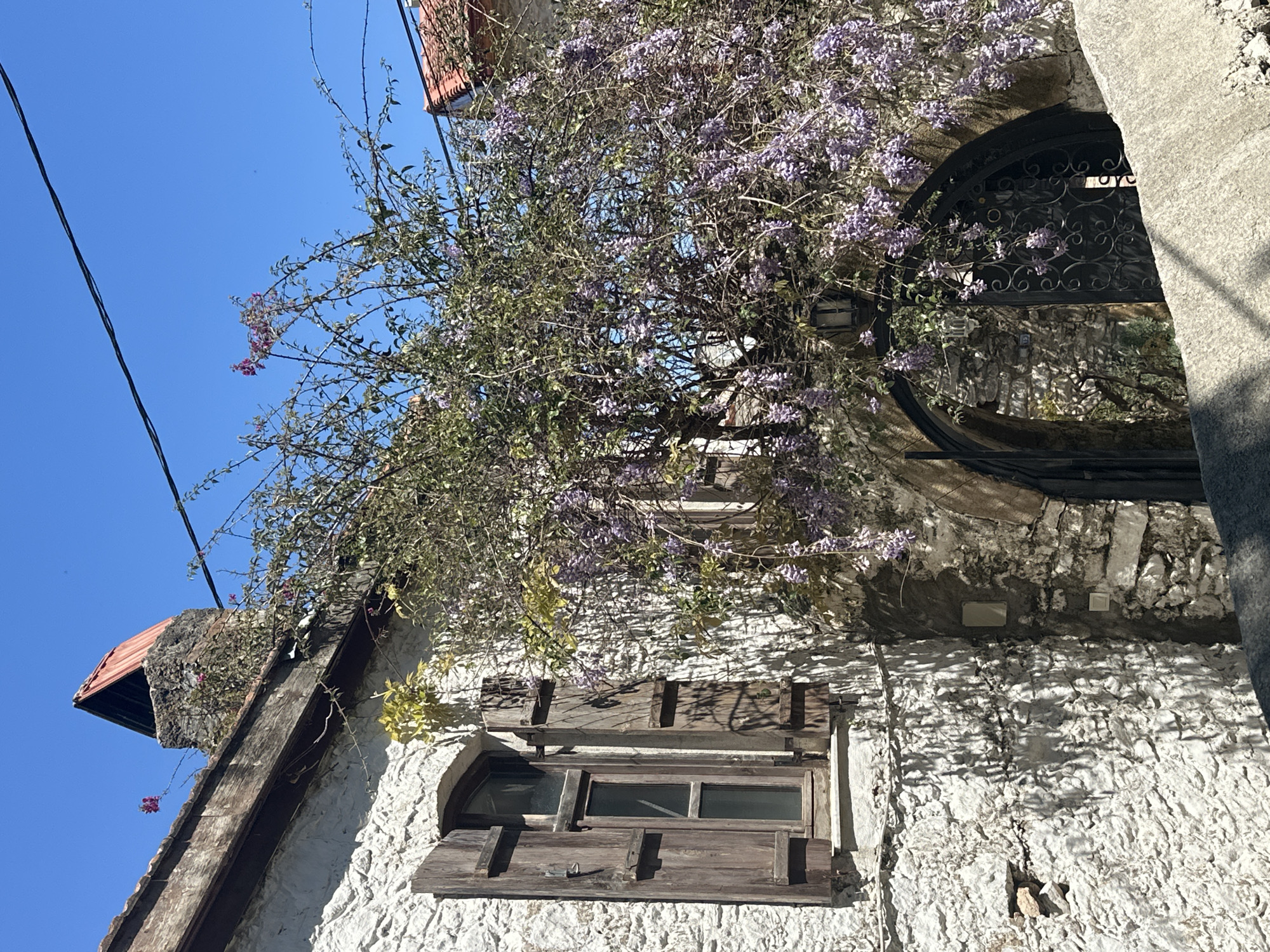 Traditional whitewashed building with flowering vines documented in Datça
