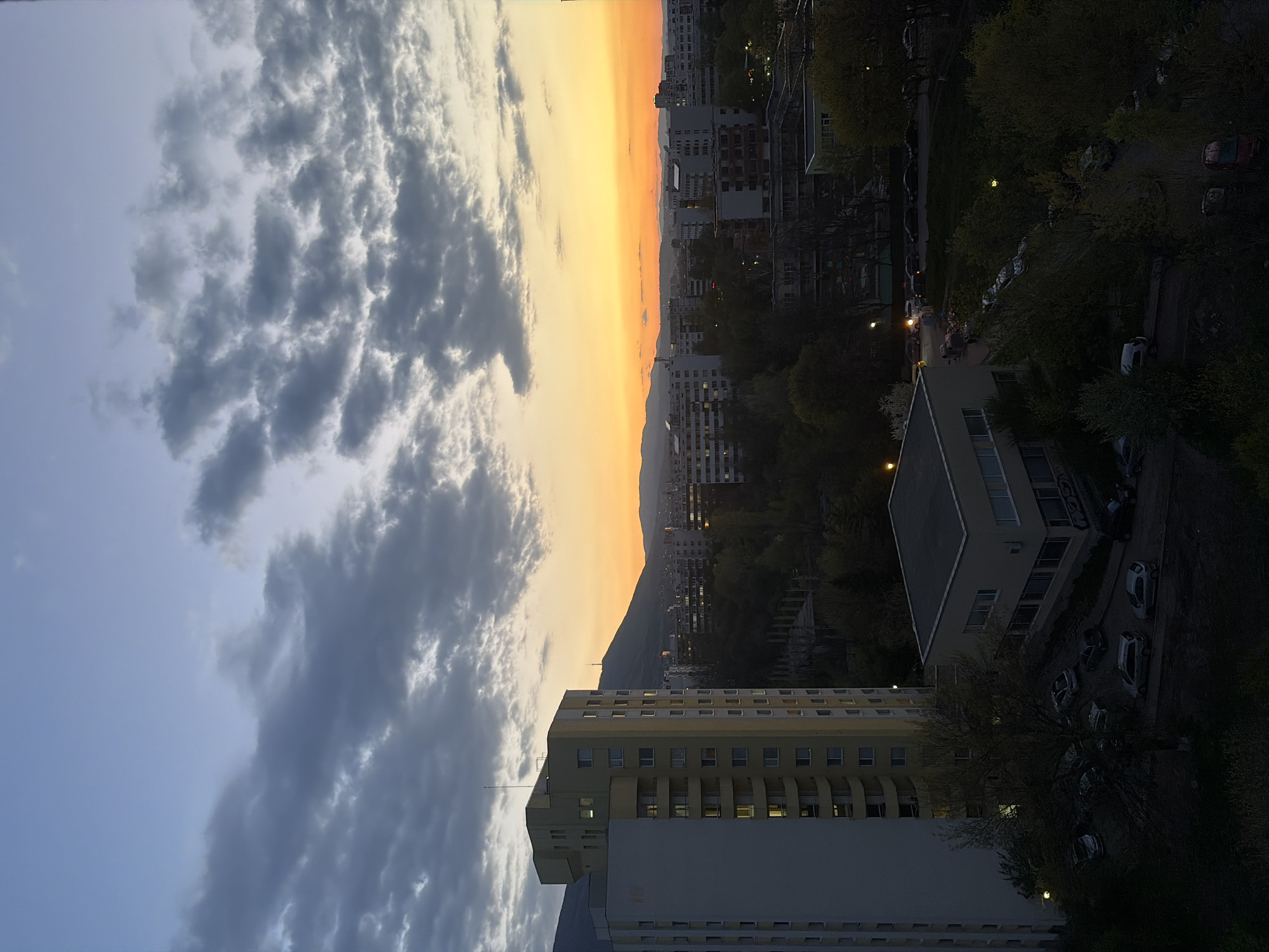 Evening scenes documented across Sofia including sunset views, selfie
