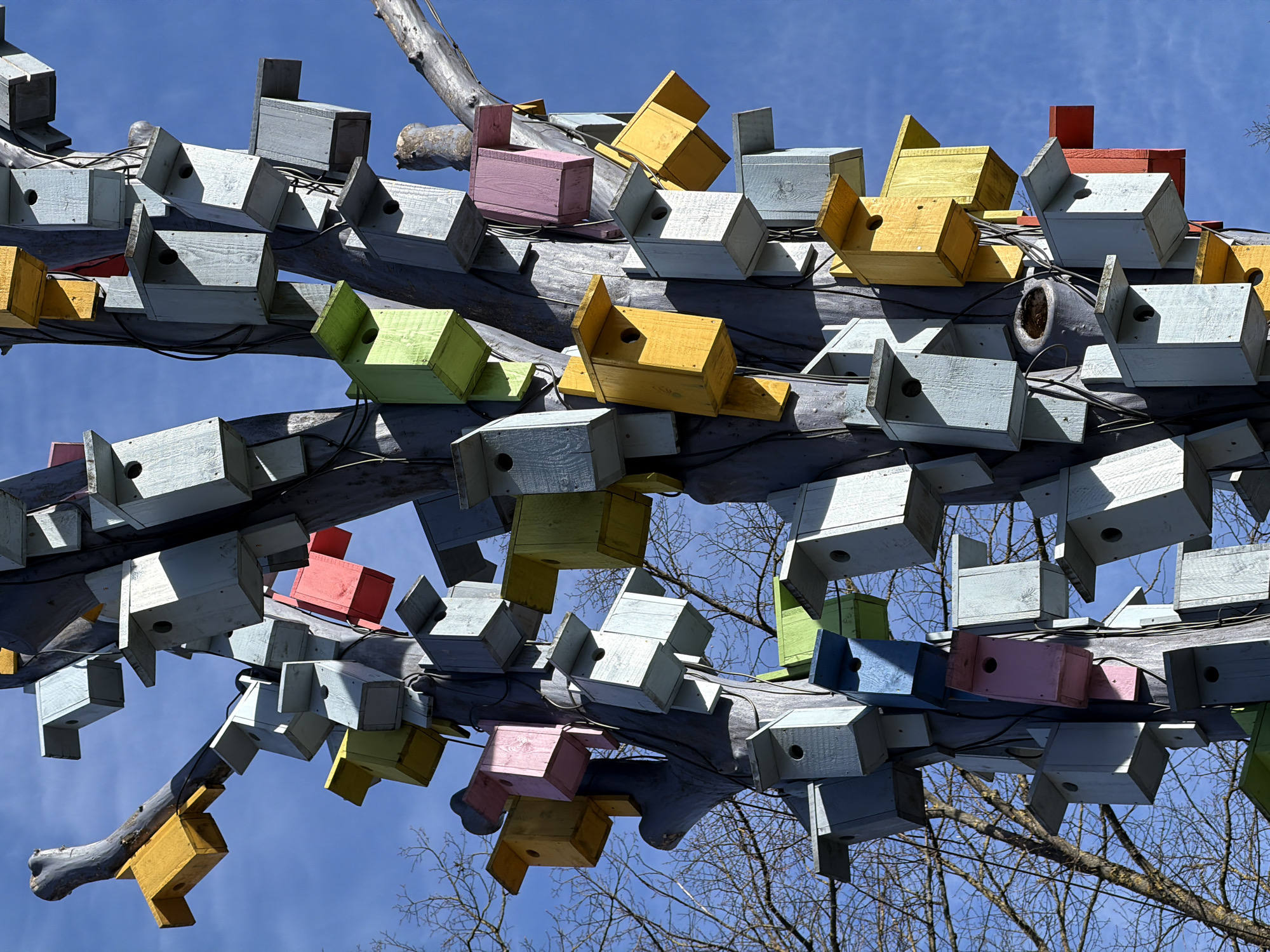 Morning scenes captured around Riga's Nativity Cathedral and art installations