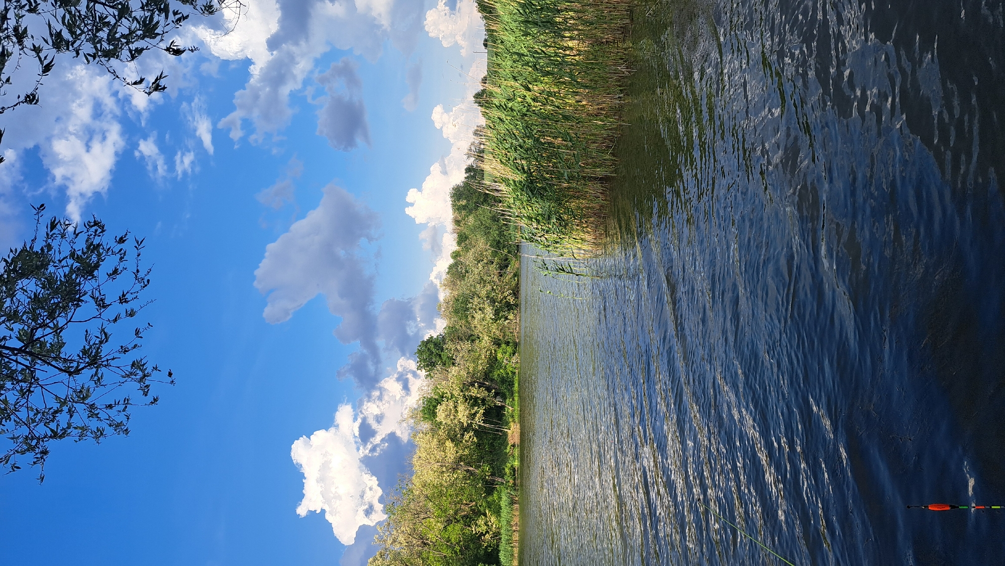 Peaceful waterway scene with flowering trees captured by witness