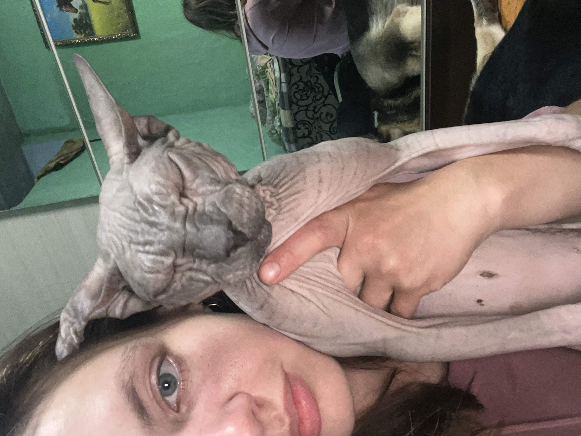 Cozy night in with several dogs and a Sphynx cat in Nizhny Tagil