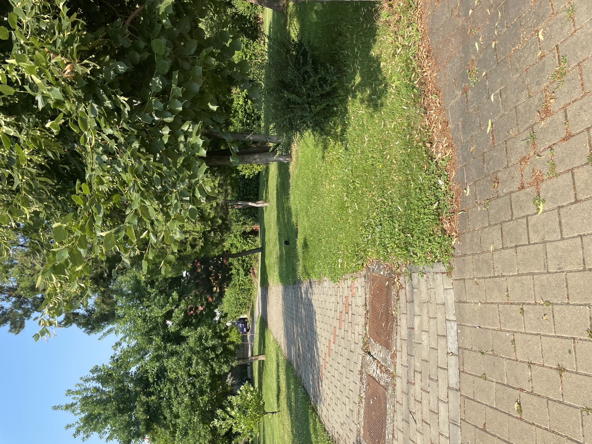 Summer morning stroll through Iași parks and city streets