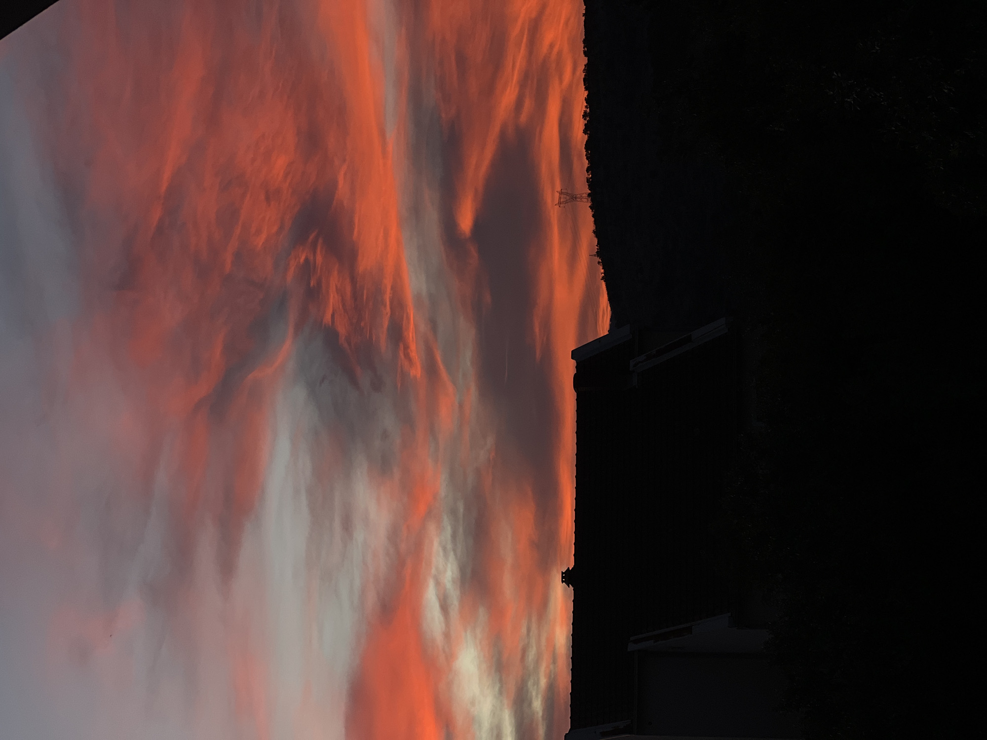 Sunset over Podgorica with curious cat on wall
