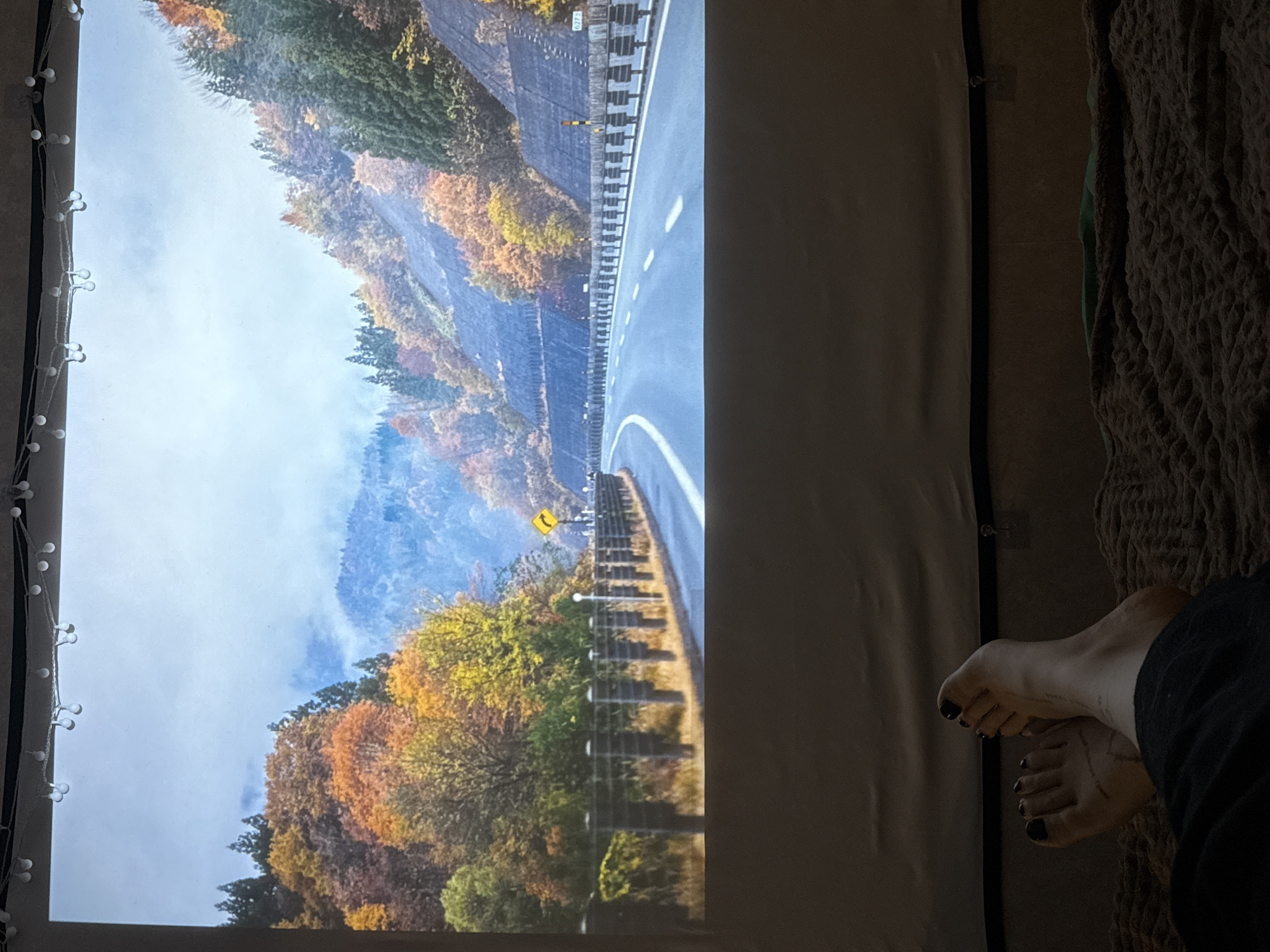 Quiet afternoon with corgi companion in Borzya, Russia