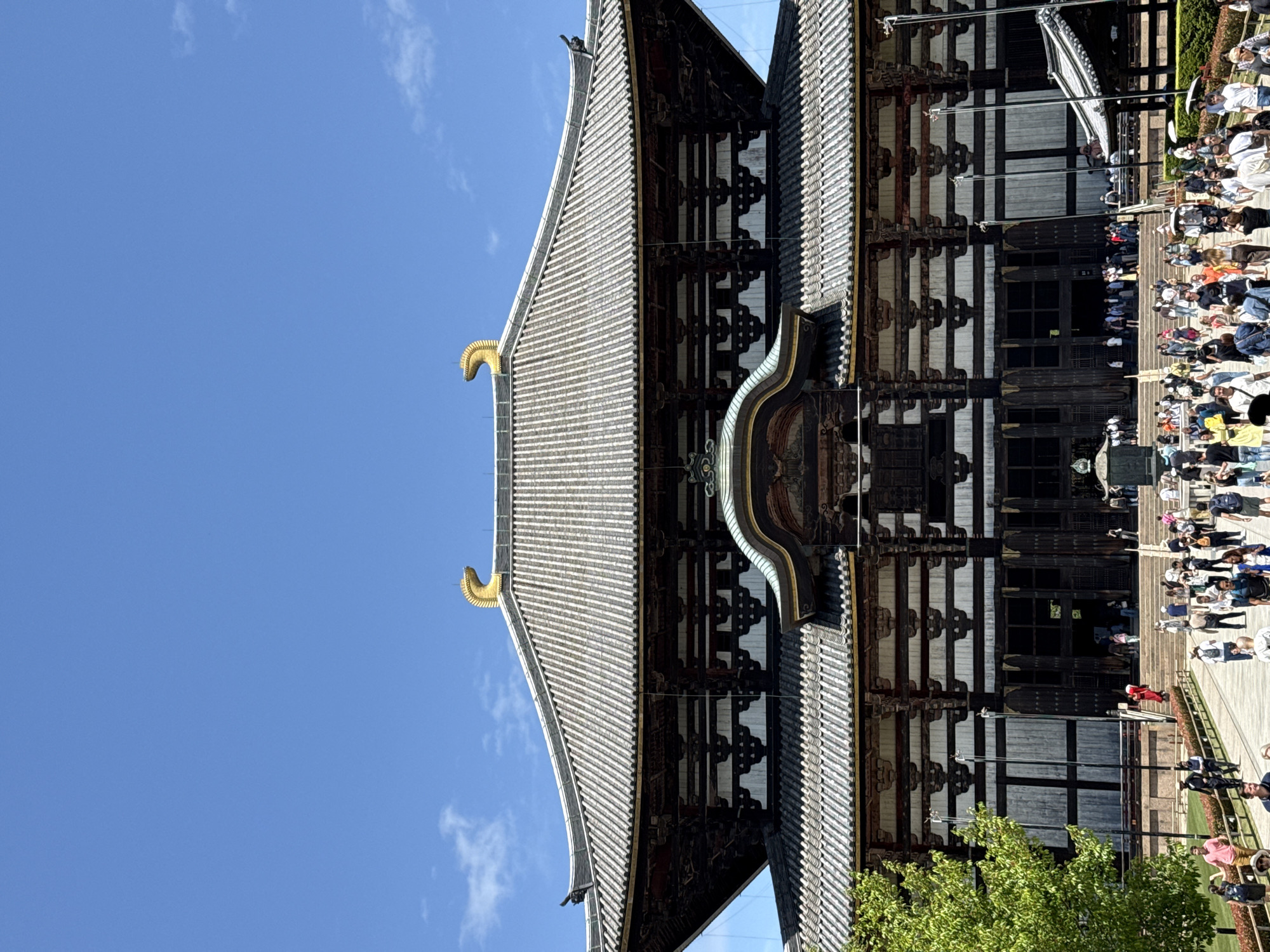 Early morning visit to Todai-ji Temple and Great Buddha