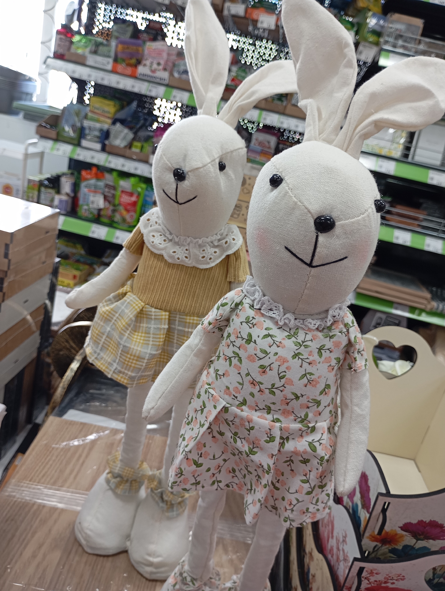 Morning shopping and garden scenes documented across retail locations