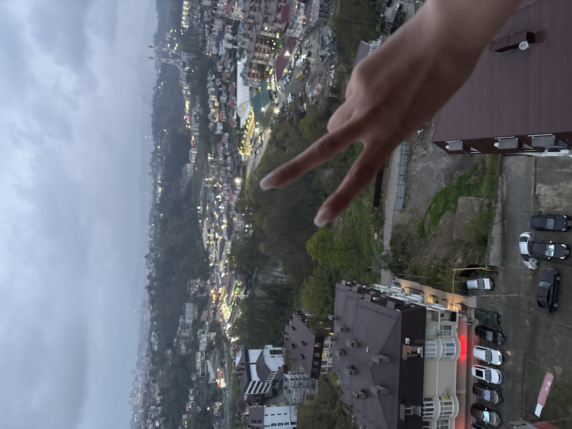 Woman documents cloudy day with terrier in Sochi