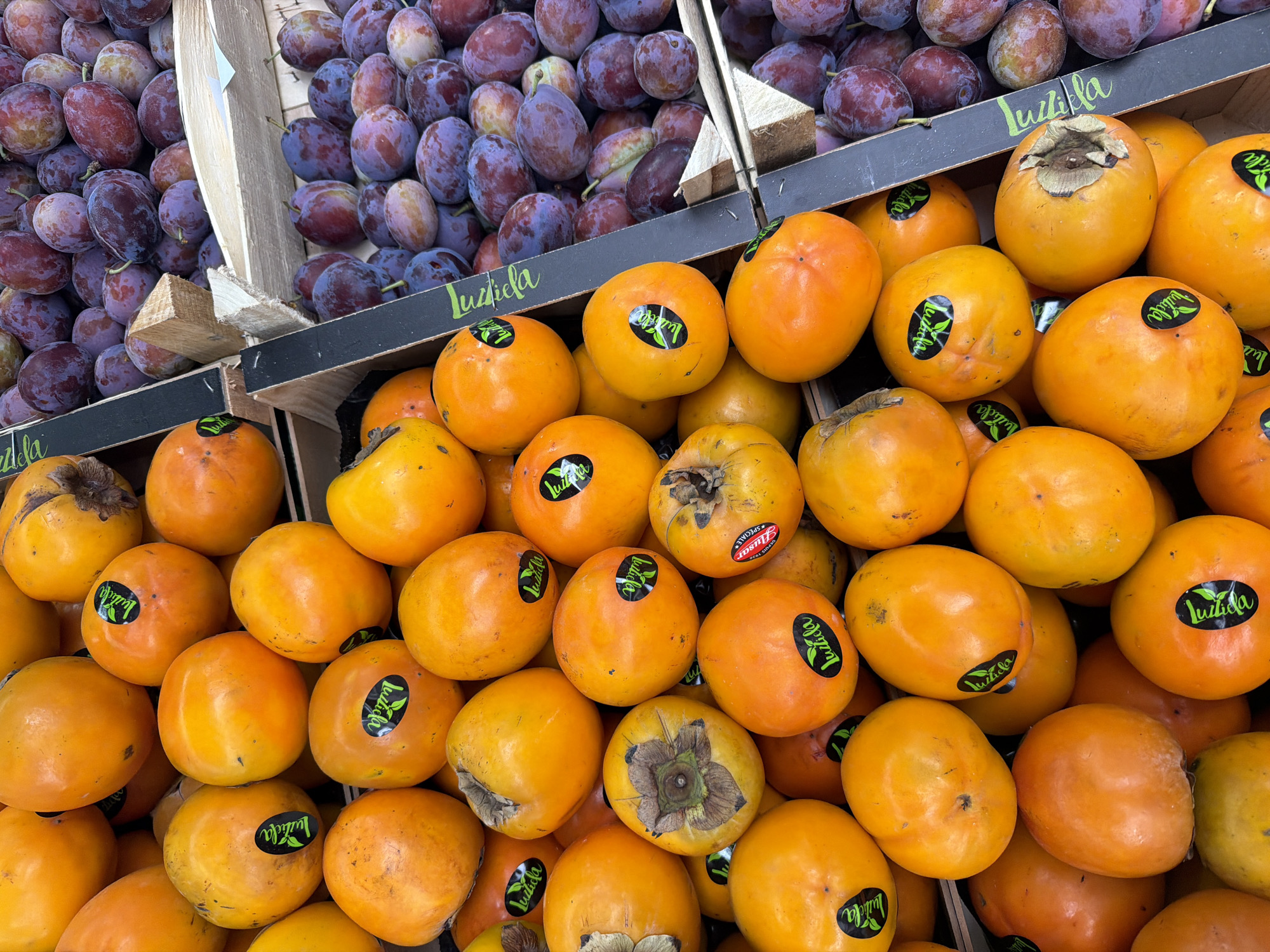Witten street market: flowers, fresh fruit, and a passing tram