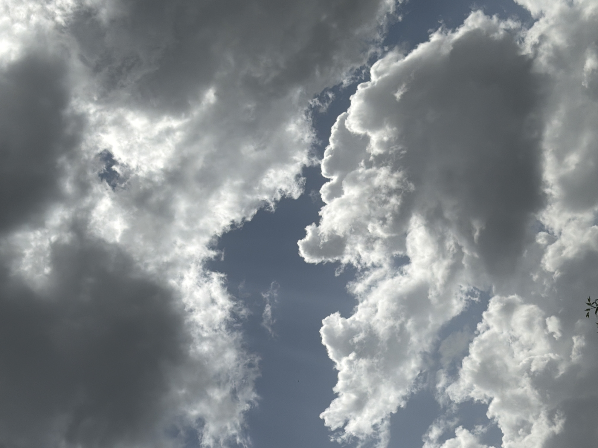 Mixed cumulus clouds observed over Sofia skies
