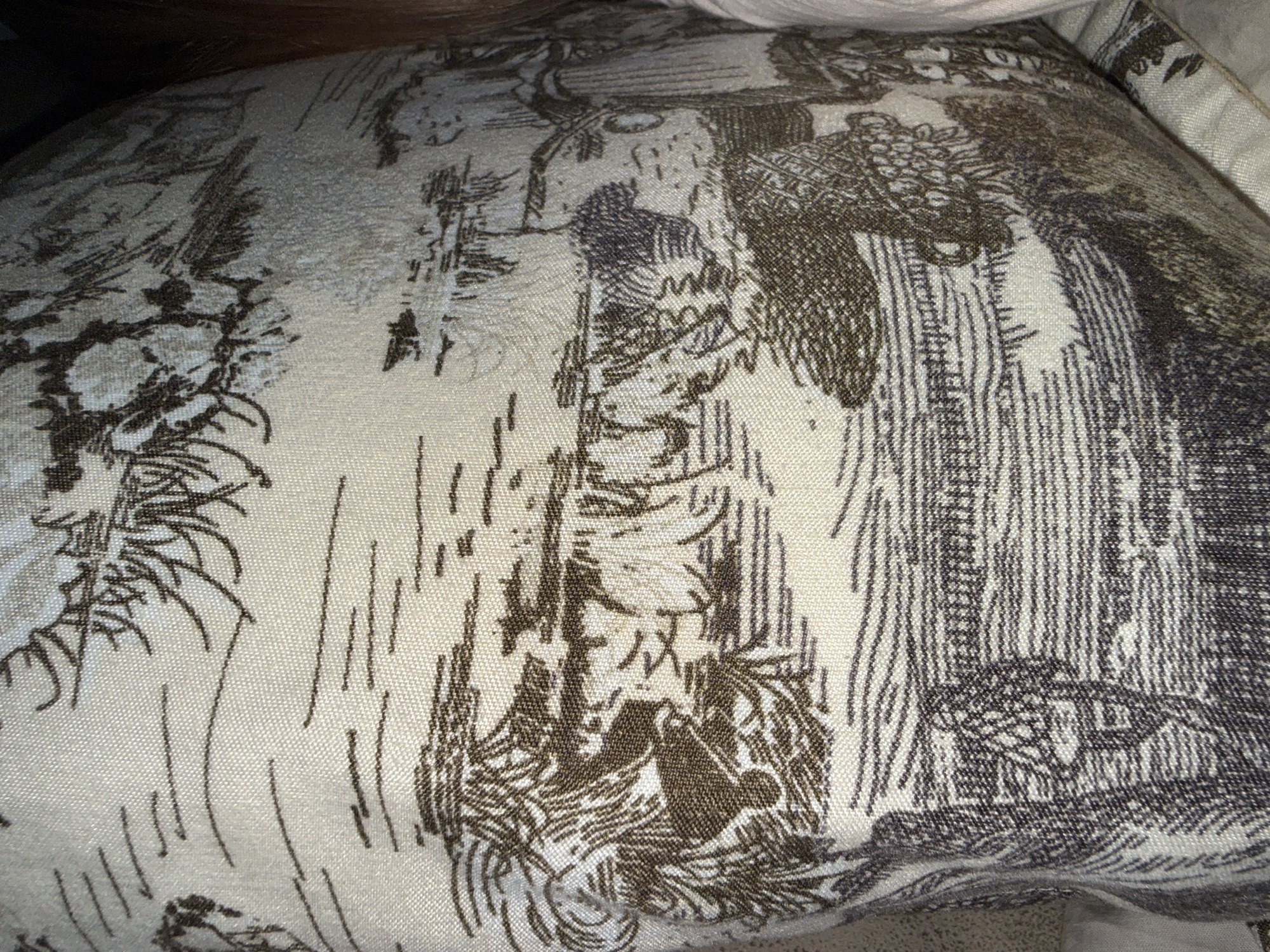 Textile with dark print observed in Shumen, Bulgaria