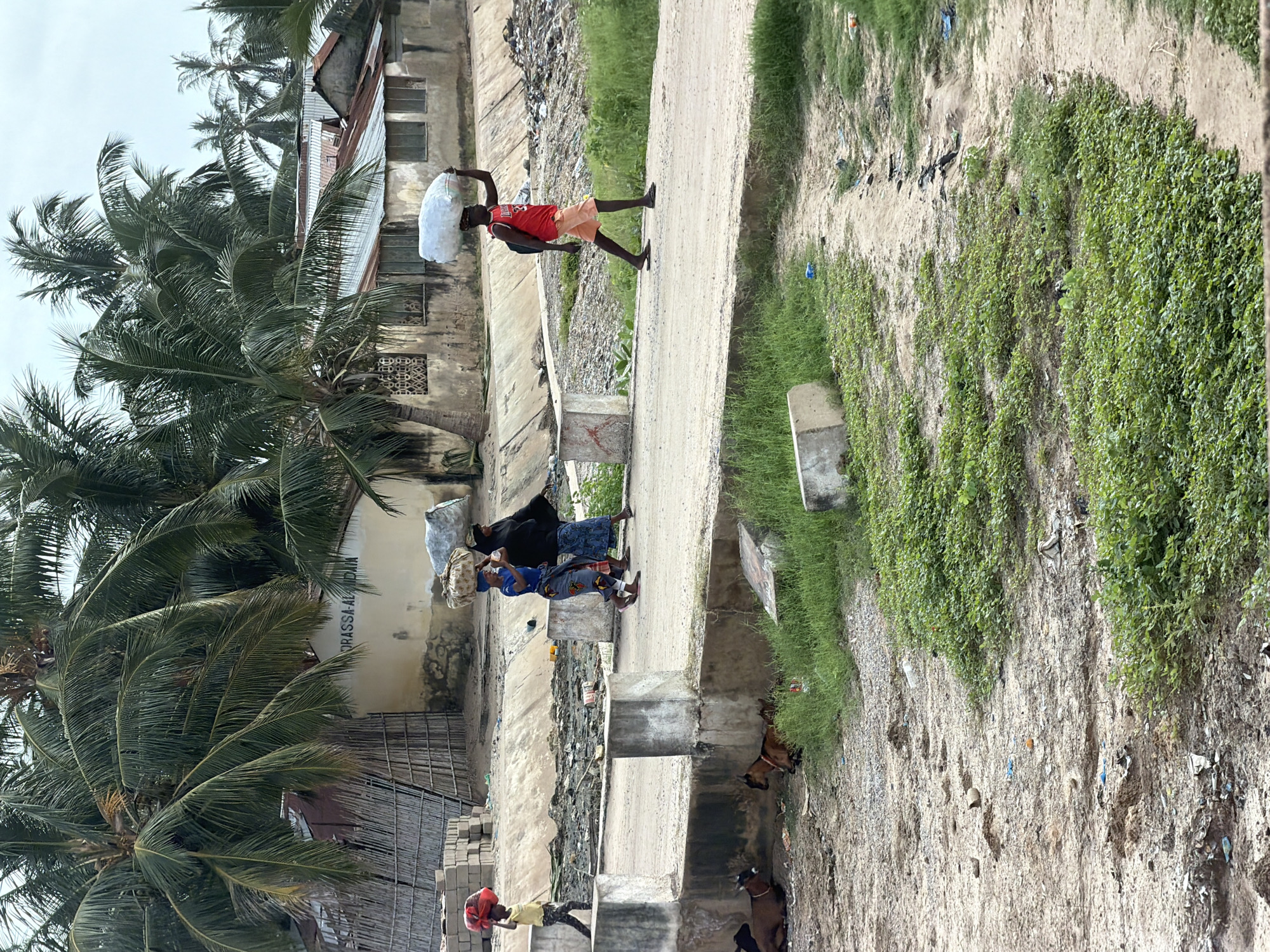 Daily life continues in Pemba: pedestrians, grazing goats