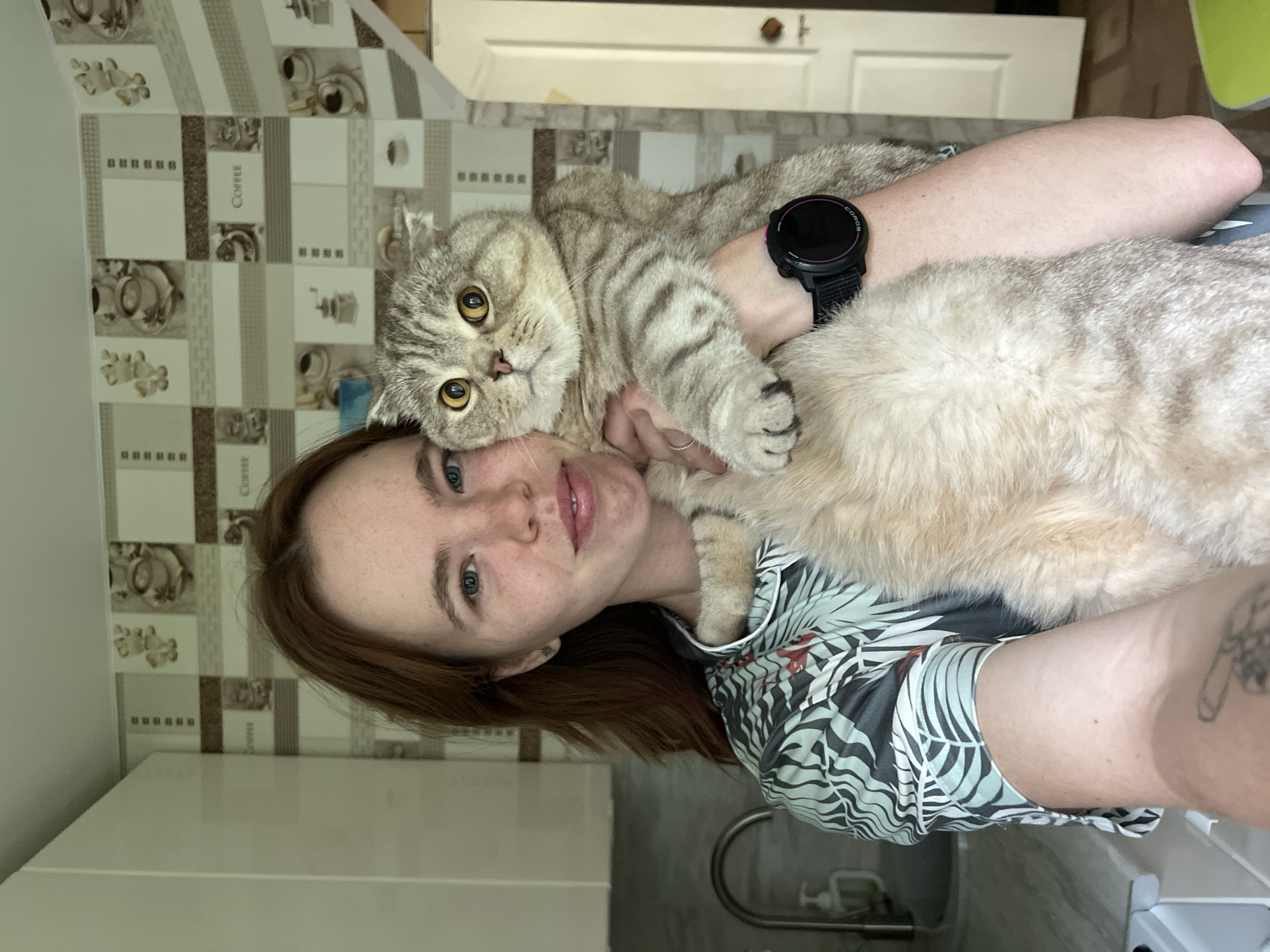 Woman's early morning routine with cats documented in Russia