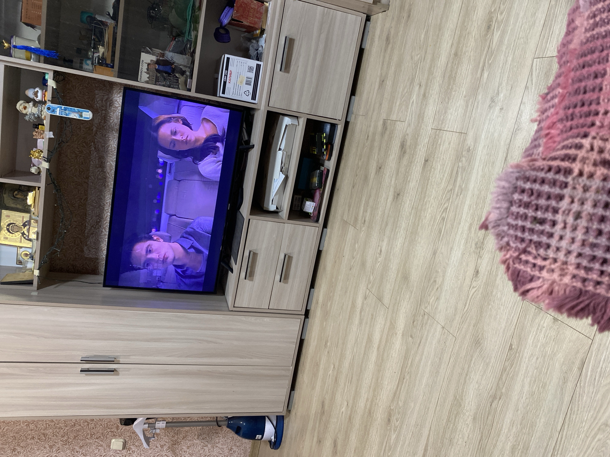 Cat rests peacefully on couch in Vyatskiye Polyany home