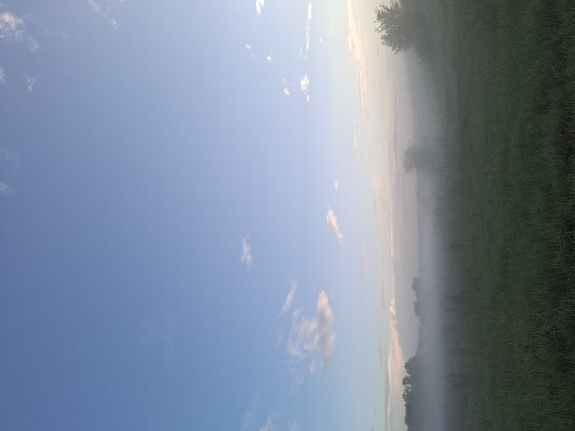 Afternoon fog blankets rural fields in Khlevnoye, Russia