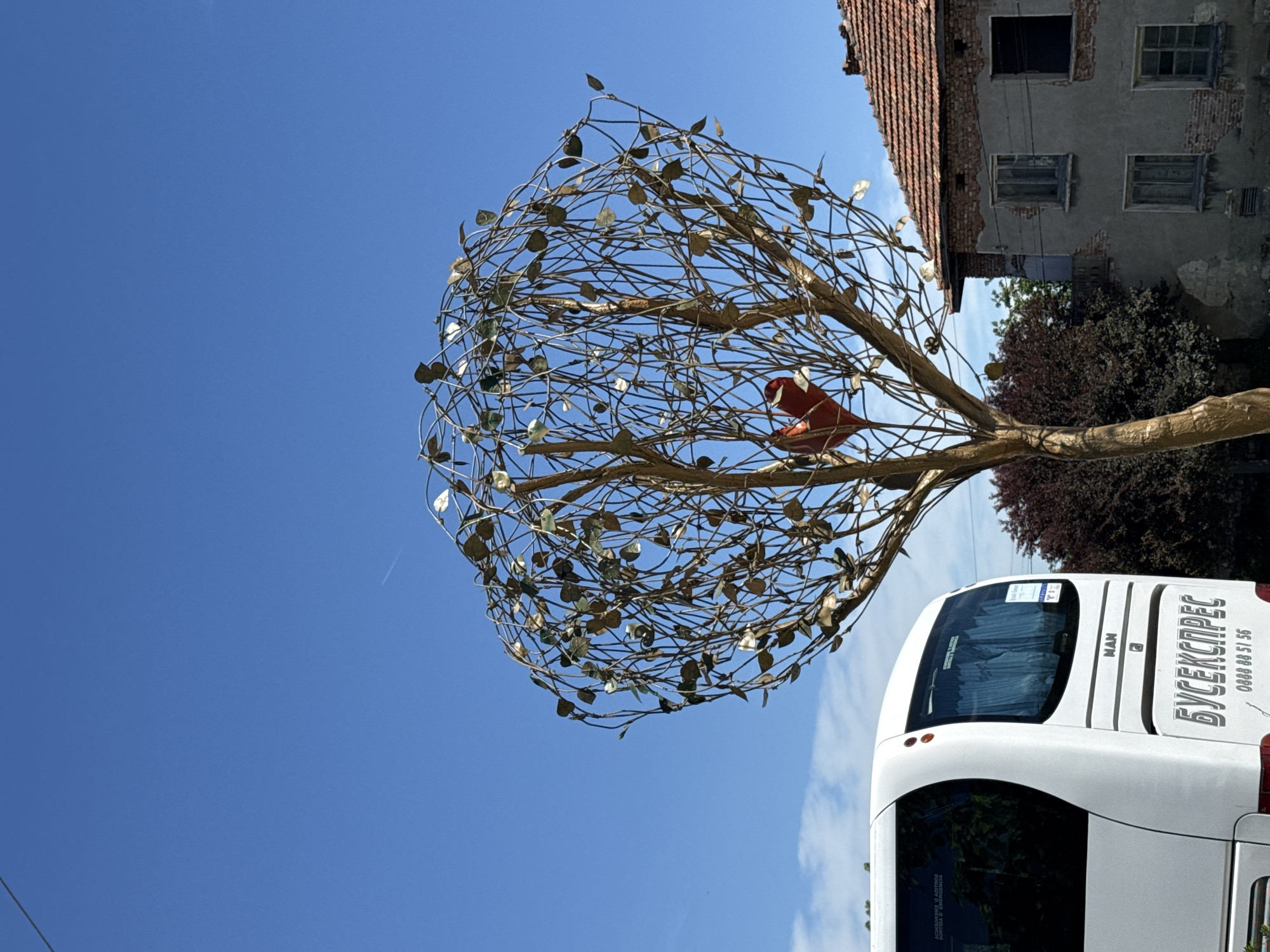 Photographer captures street scenes and landmarks in Lukovit, Bulgaria