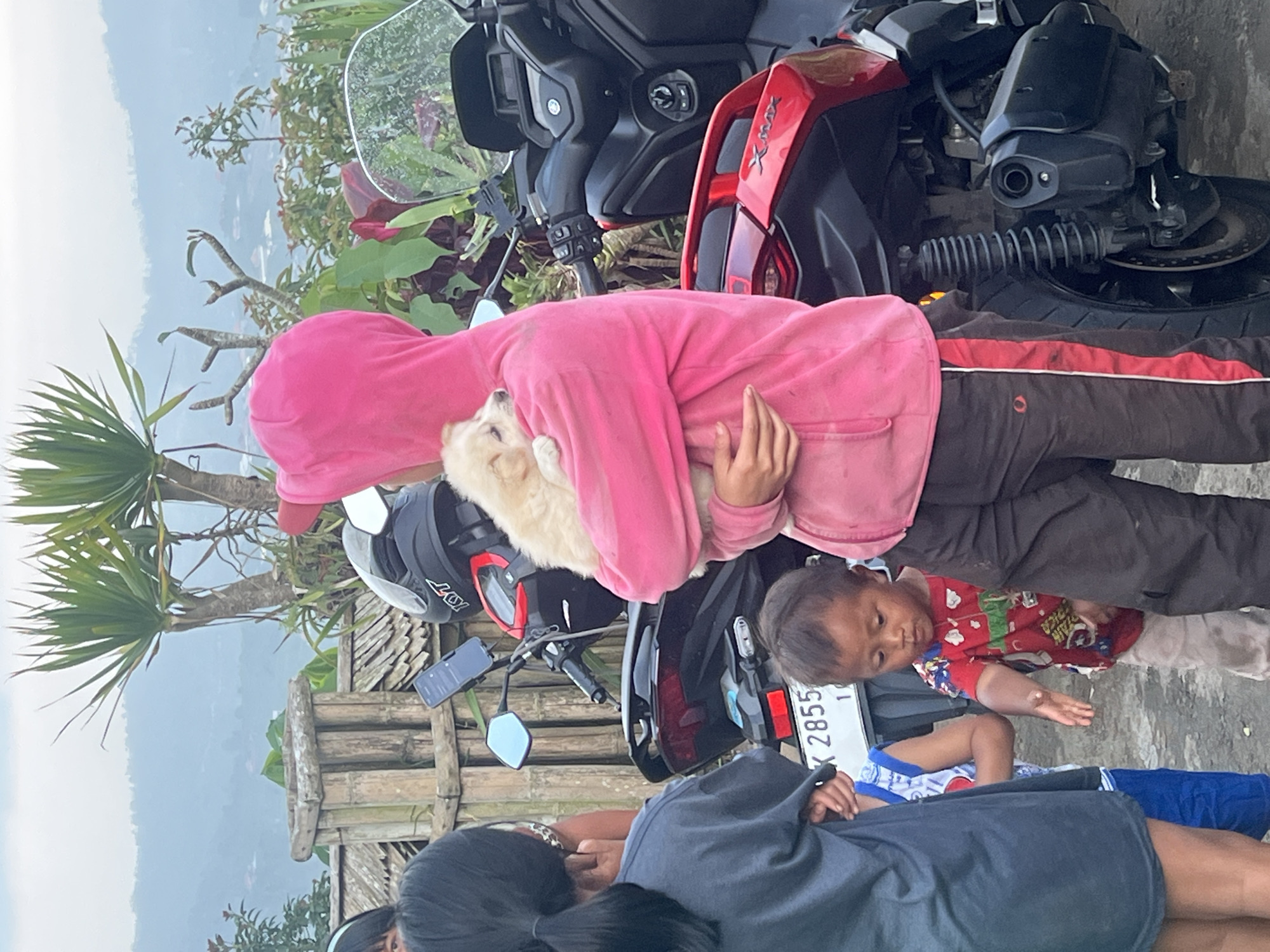 Small crowd gathers with puppy in Kintamani, Indonesia