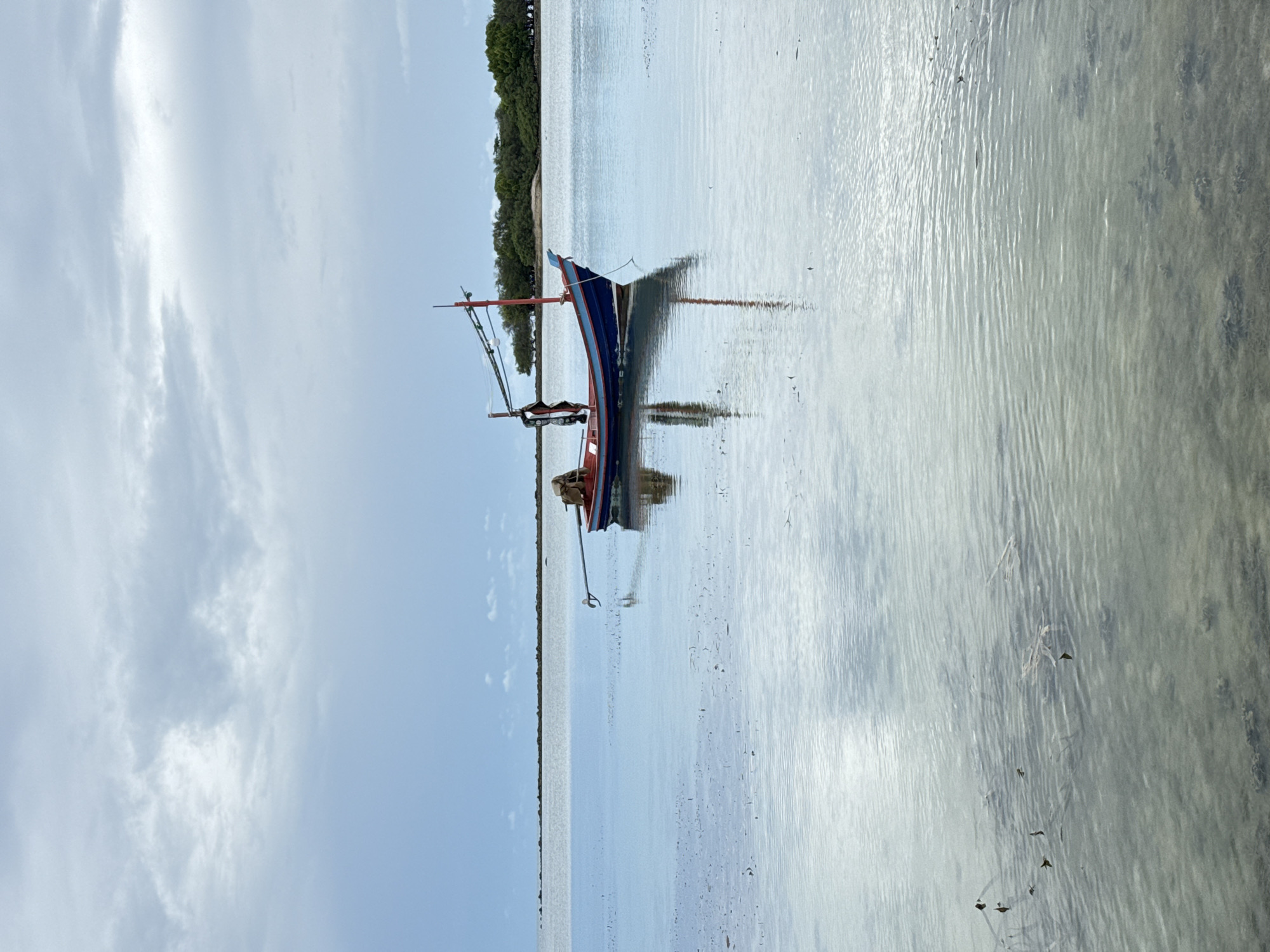 Traditional fishing boats at rest in Ko Samui's shallow coastal waters