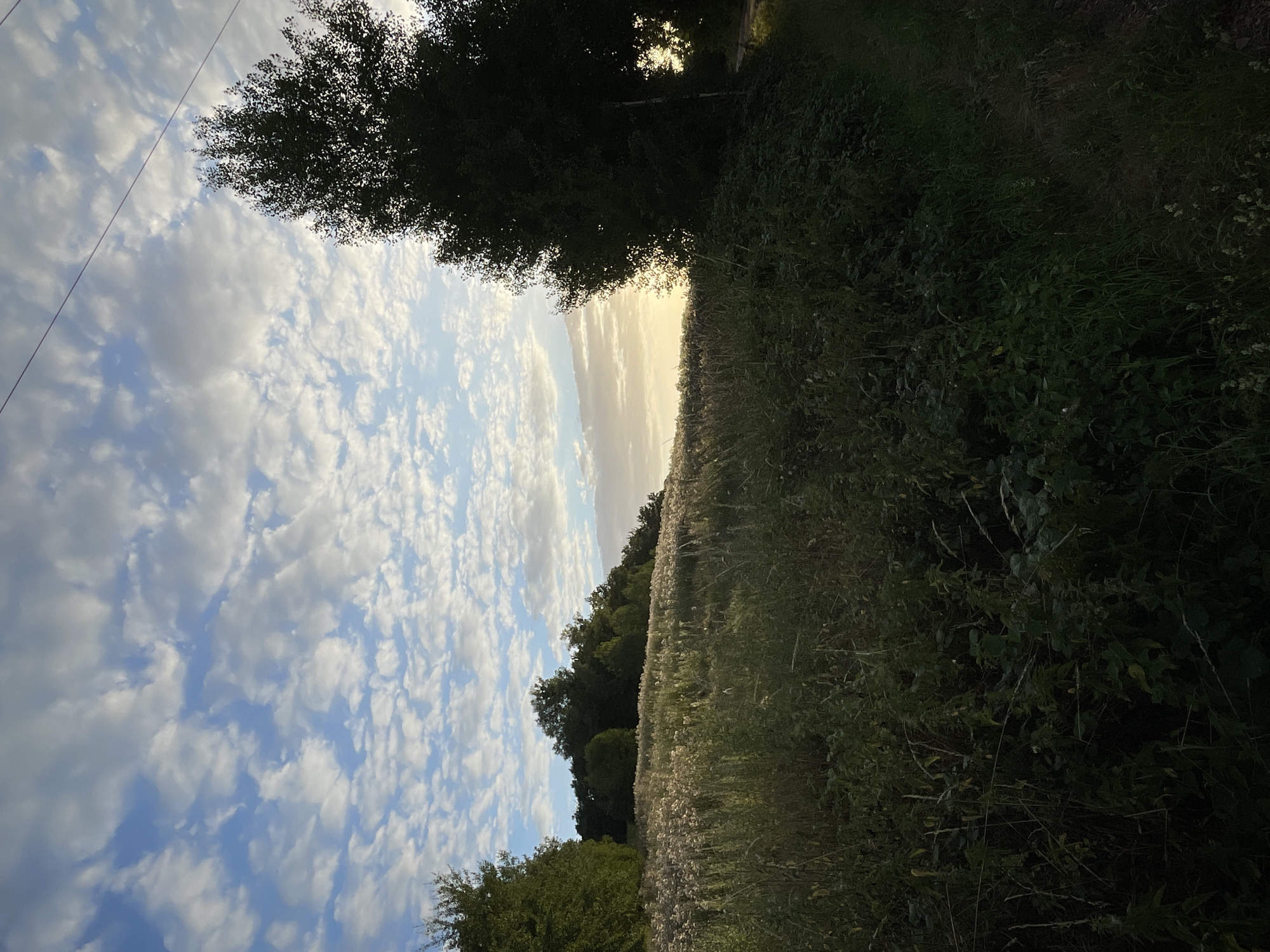 Triathlon route scouting through rural Neukirchen at golden hour