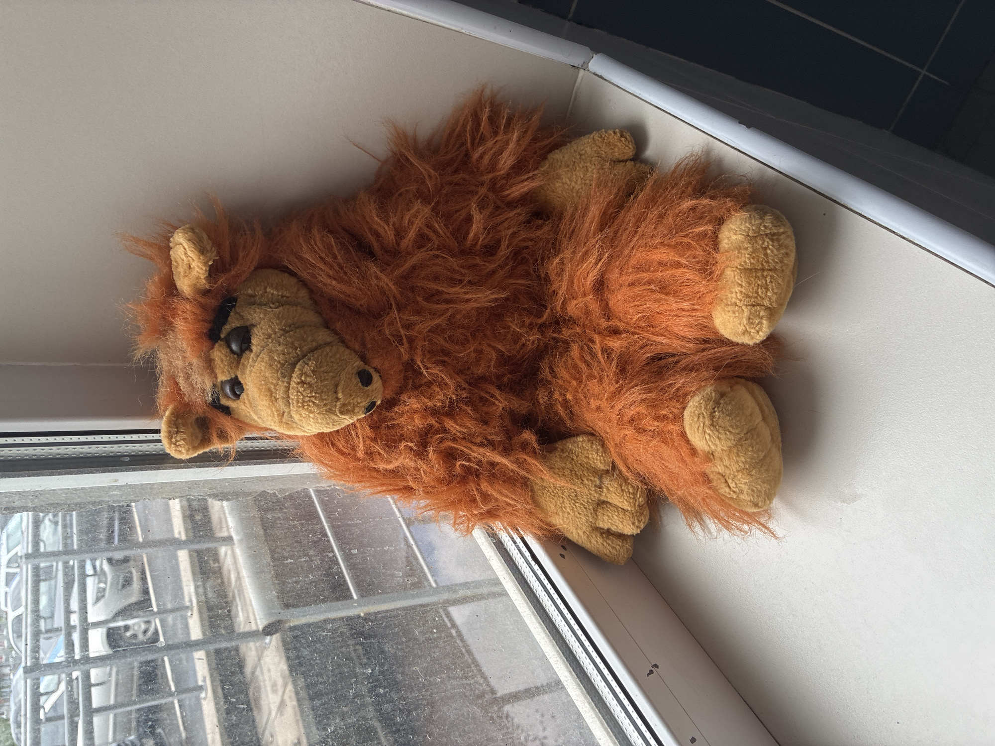 ALF toy on a windowsill, pigeon on pavement — Orenburg morning