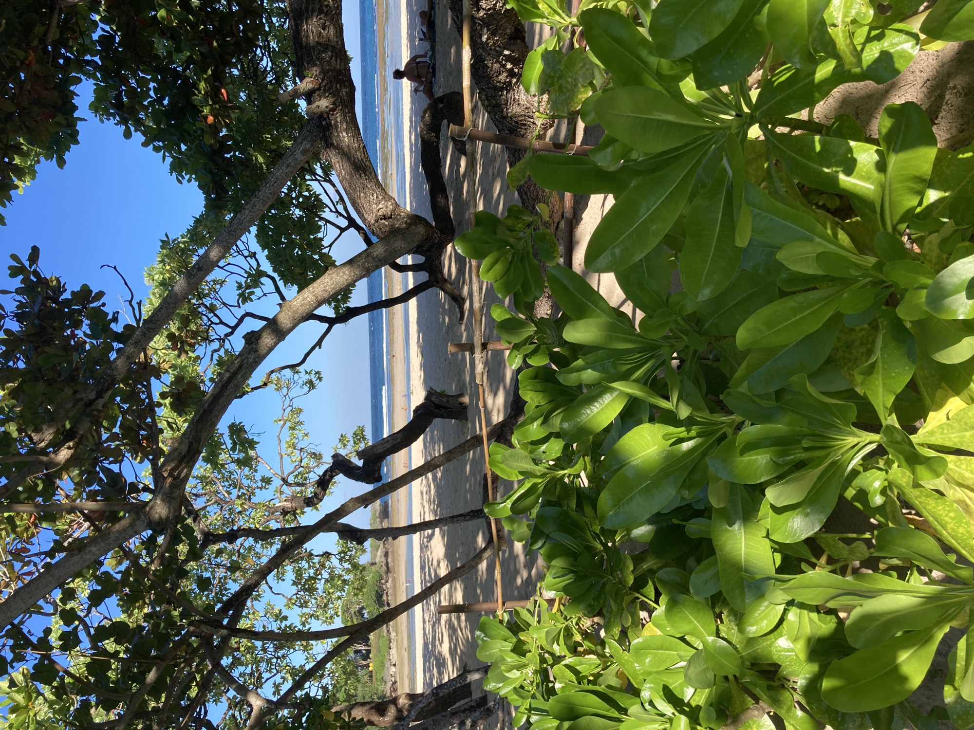 Morning coastal and waterside scenes documented by witness